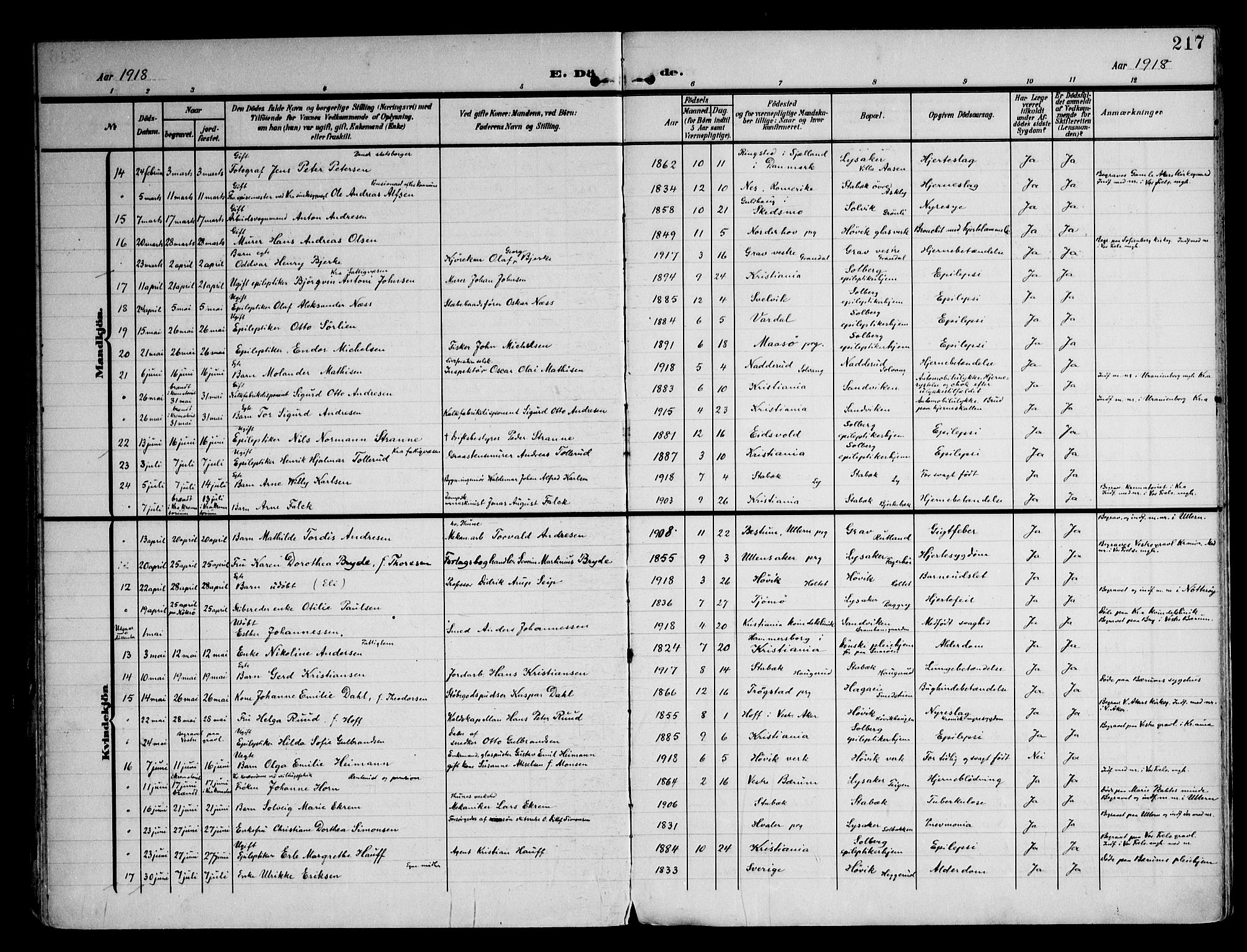 Østre Bærum prestekontor Kirkebøker, SAO/A-10887/F/Fa/L0001: Parish register (official) no. 1, 1905-1924, p. 217