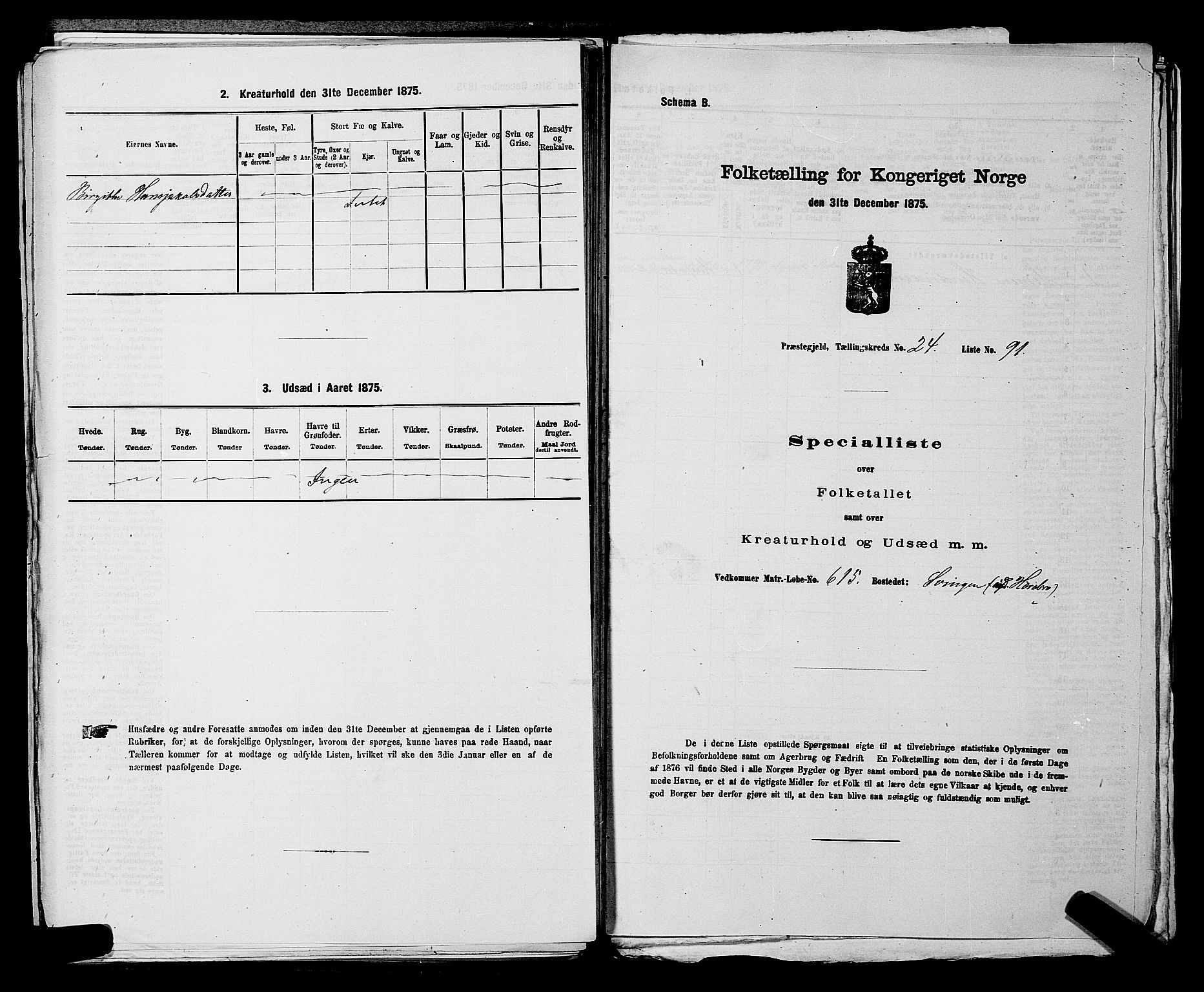 SAKO, 1875 census for 0624P Eiker, 1875, p. 4308