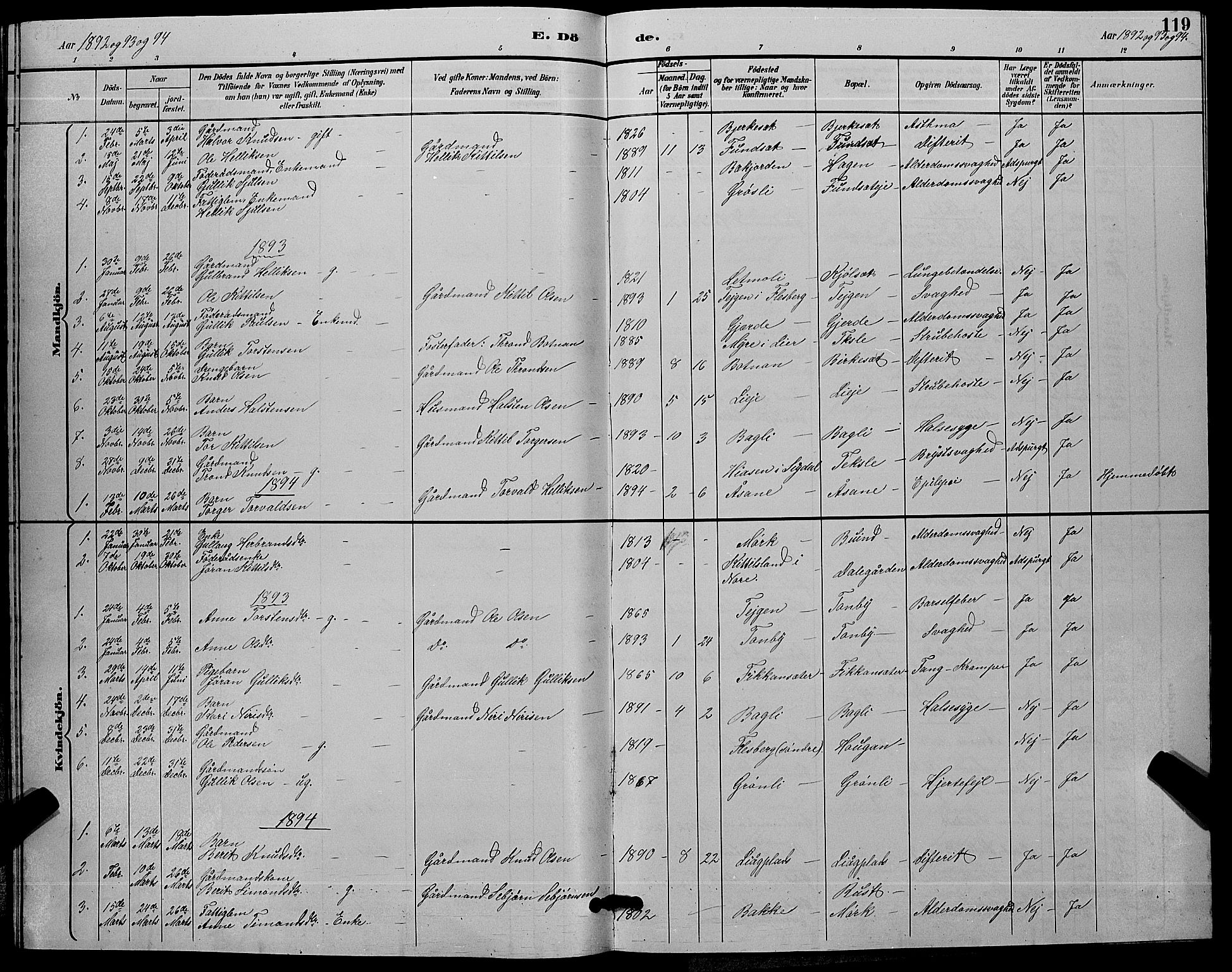 Flesberg kirkebøker, SAKO/A-18/G/Ga/L0004: Parish register (copy) no. I 4 /3, 1890-1898, p. 119