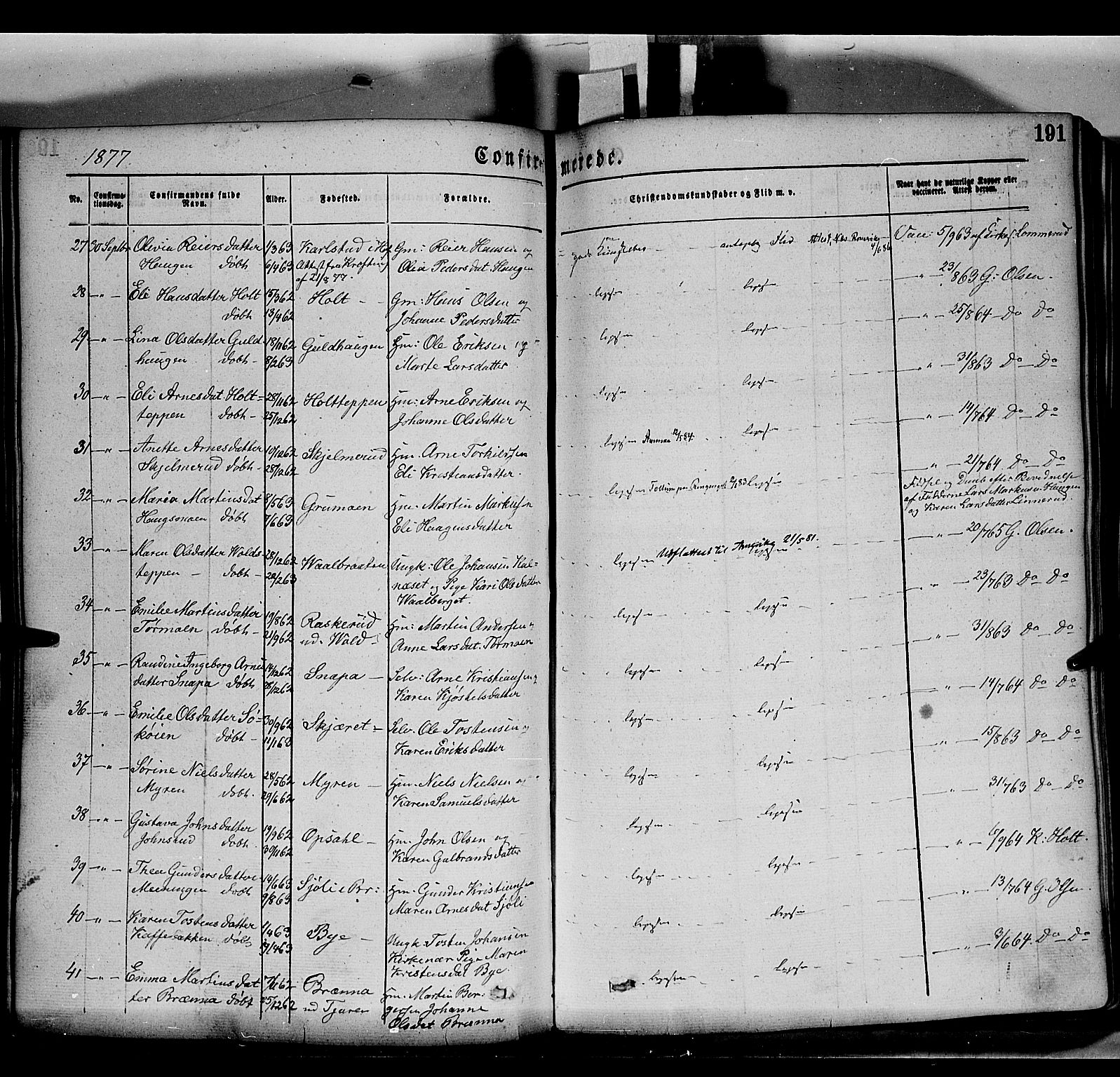 Grue prestekontor, AV/SAH-PREST-036/H/Ha/Haa/L0011: Parish register (official) no. 11, 1873-1880, p. 191