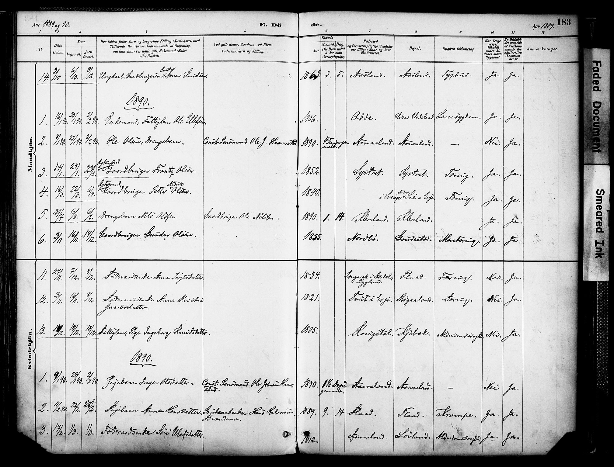 Evje sokneprestkontor, AV/SAK-1111-0008/F/Fa/Faa/L0007: Parish register (official) no. A 7, 1884-1909, p. 183