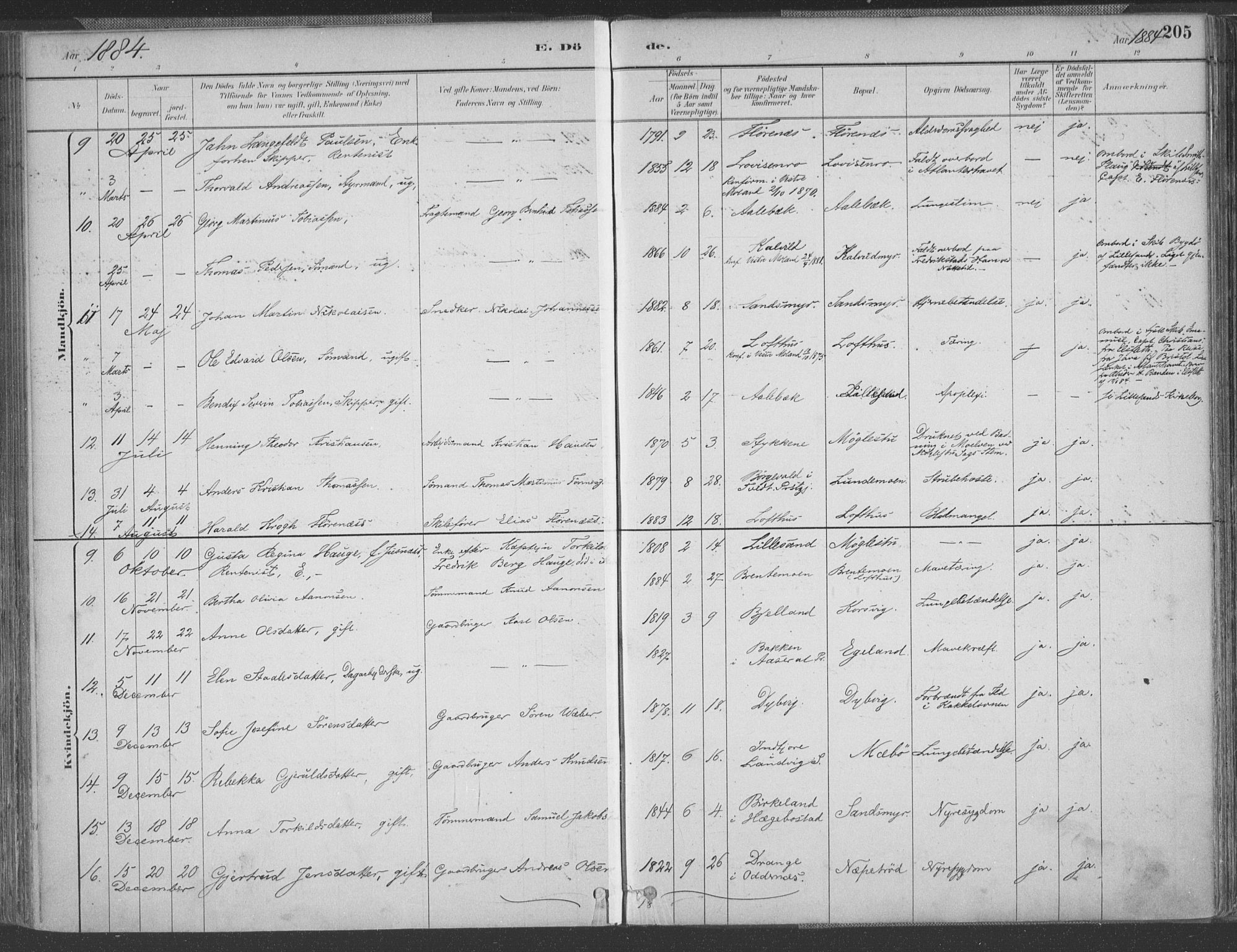 Vestre Moland sokneprestkontor, AV/SAK-1111-0046/F/Fa/Fab/L0009: Parish register (official) no. A 9, 1884-1899, p. 205