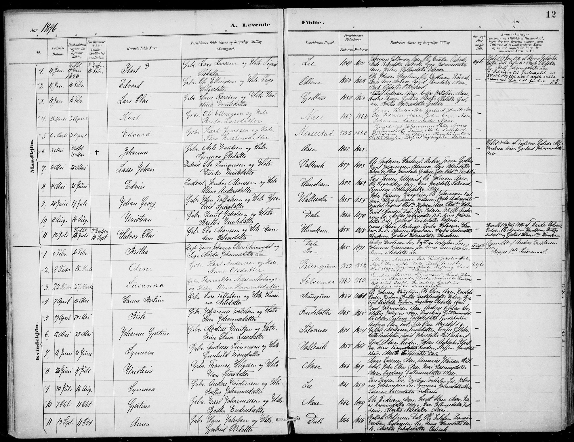 Vik sokneprestembete, AV/SAB-A-81501/H/Haa/Haac/L0002: Parish register (official) no. C  2, 1891-1910, p. 12