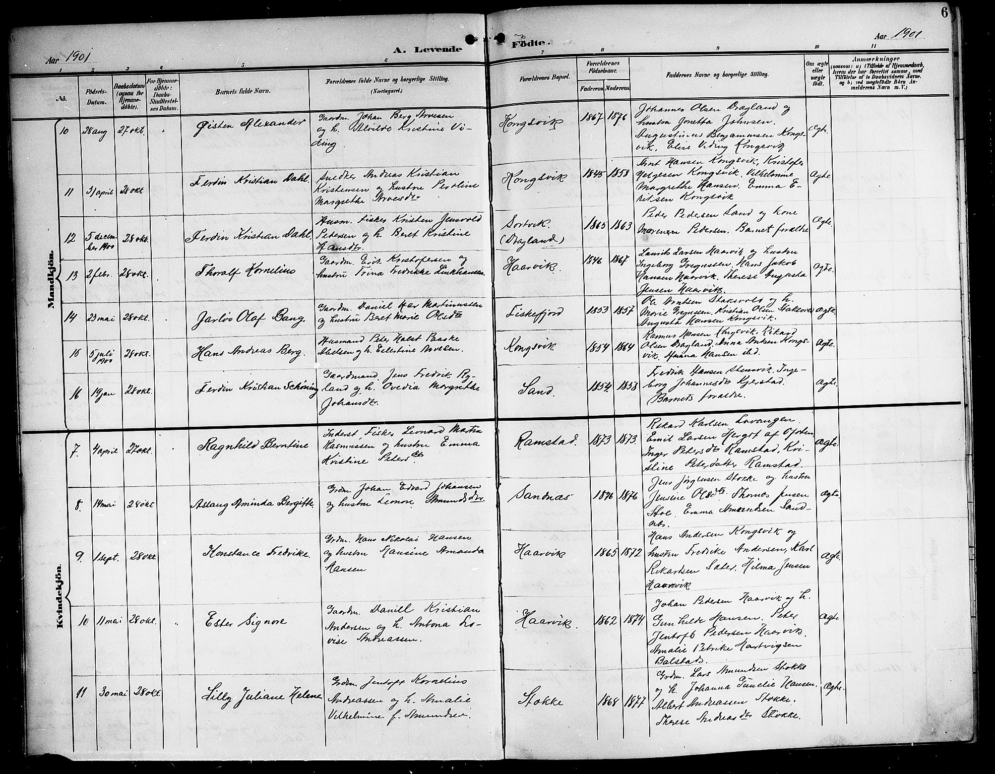 Ministerialprotokoller, klokkerbøker og fødselsregistre - Nordland, SAT/A-1459/865/L0932: Parish register (copy) no. 865C04, 1901-1917, p. 6