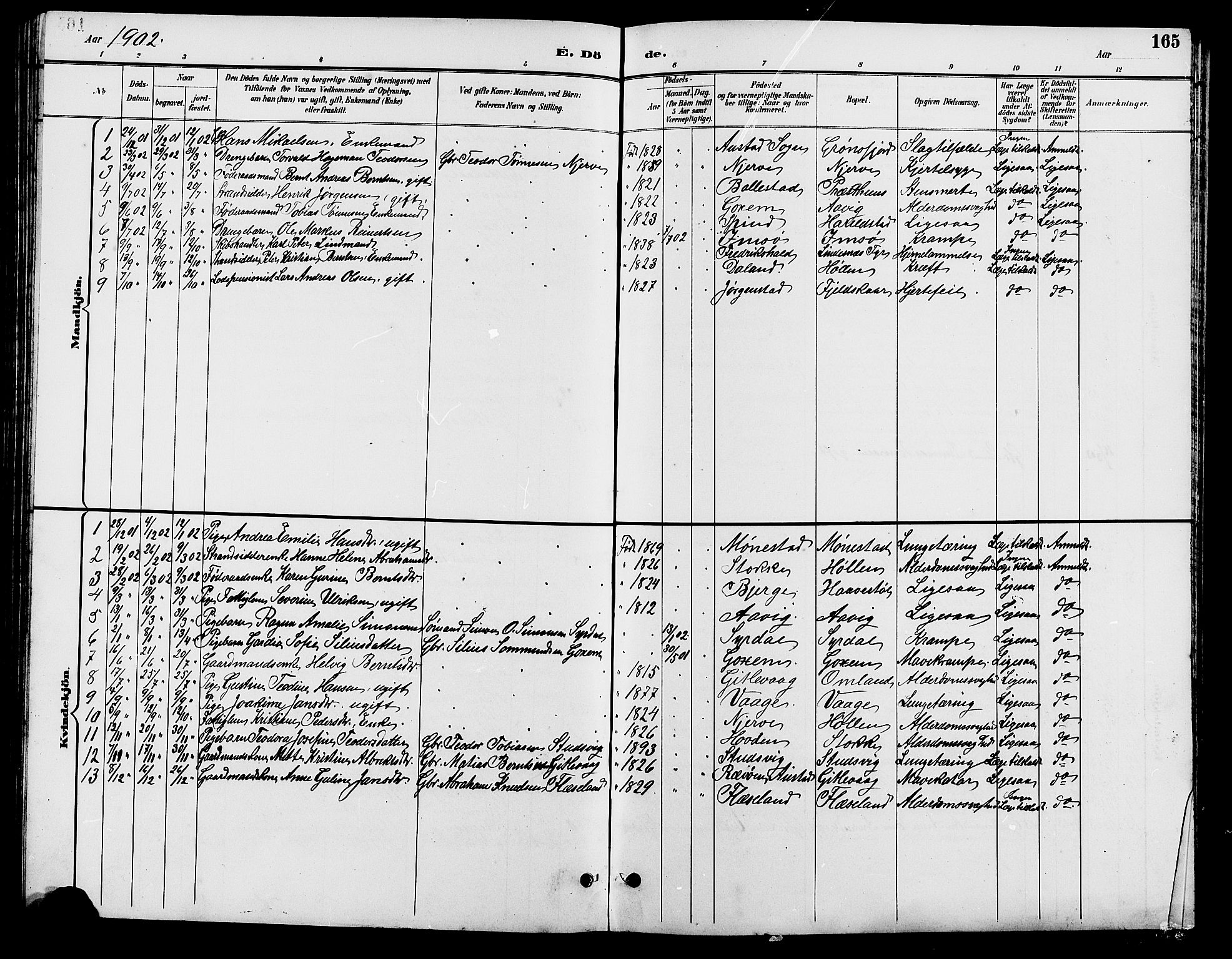 Sør-Audnedal sokneprestkontor, SAK/1111-0039/F/Fb/Fba/L0004: Parish register (copy) no. B 4, 1893-1909, p. 165