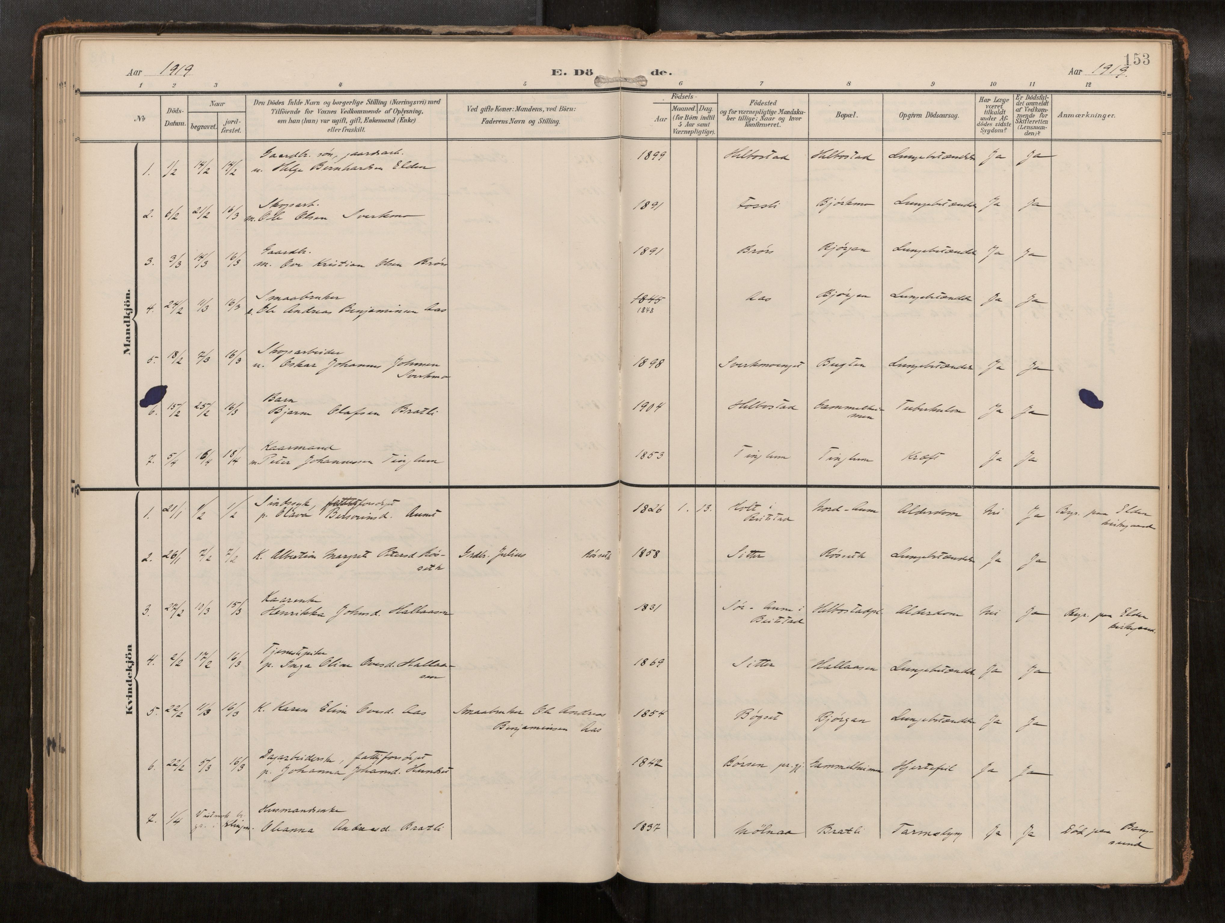 Ministerialprotokoller, klokkerbøker og fødselsregistre - Nord-Trøndelag, AV/SAT-A-1458/742/L0409a: Parish register (official) no. 742A03, 1906-1924, p. 153