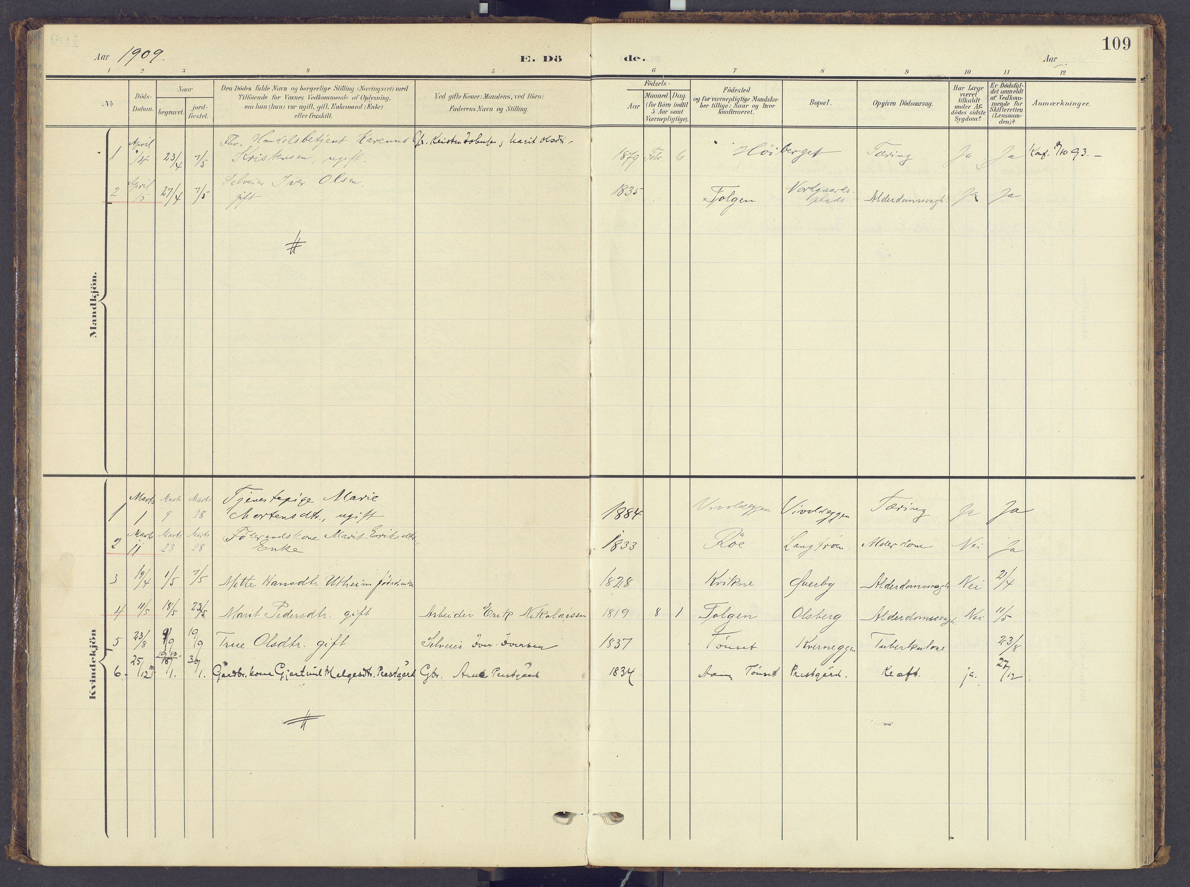 Tynset prestekontor, SAH/PREST-058/H/Ha/Haa/L0028: Parish register (official) no. 28, 1902-1929, p. 109