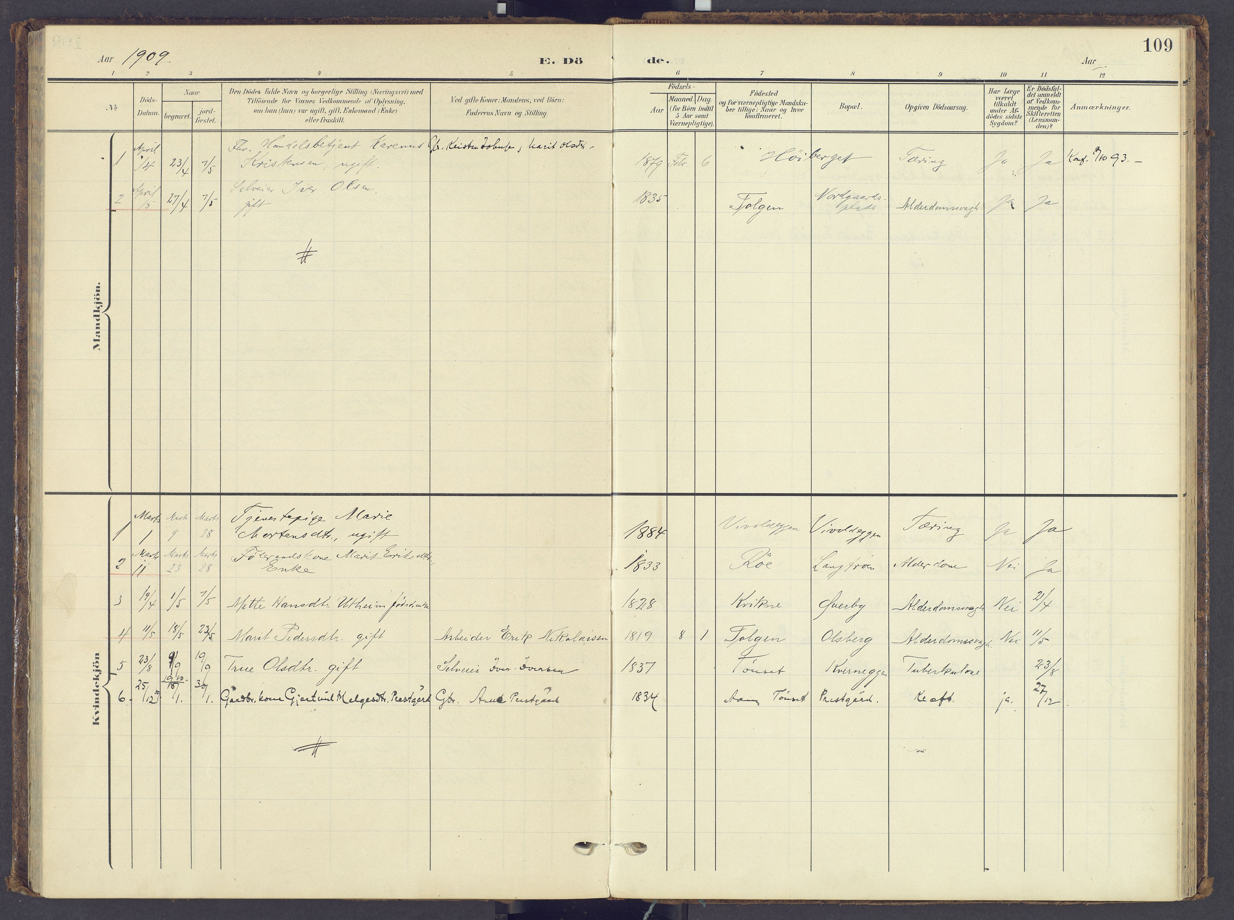 Tynset prestekontor, AV/SAH-PREST-058/H/Ha/Haa/L0028: Parish register (official) no. 28, 1902-1929, p. 109