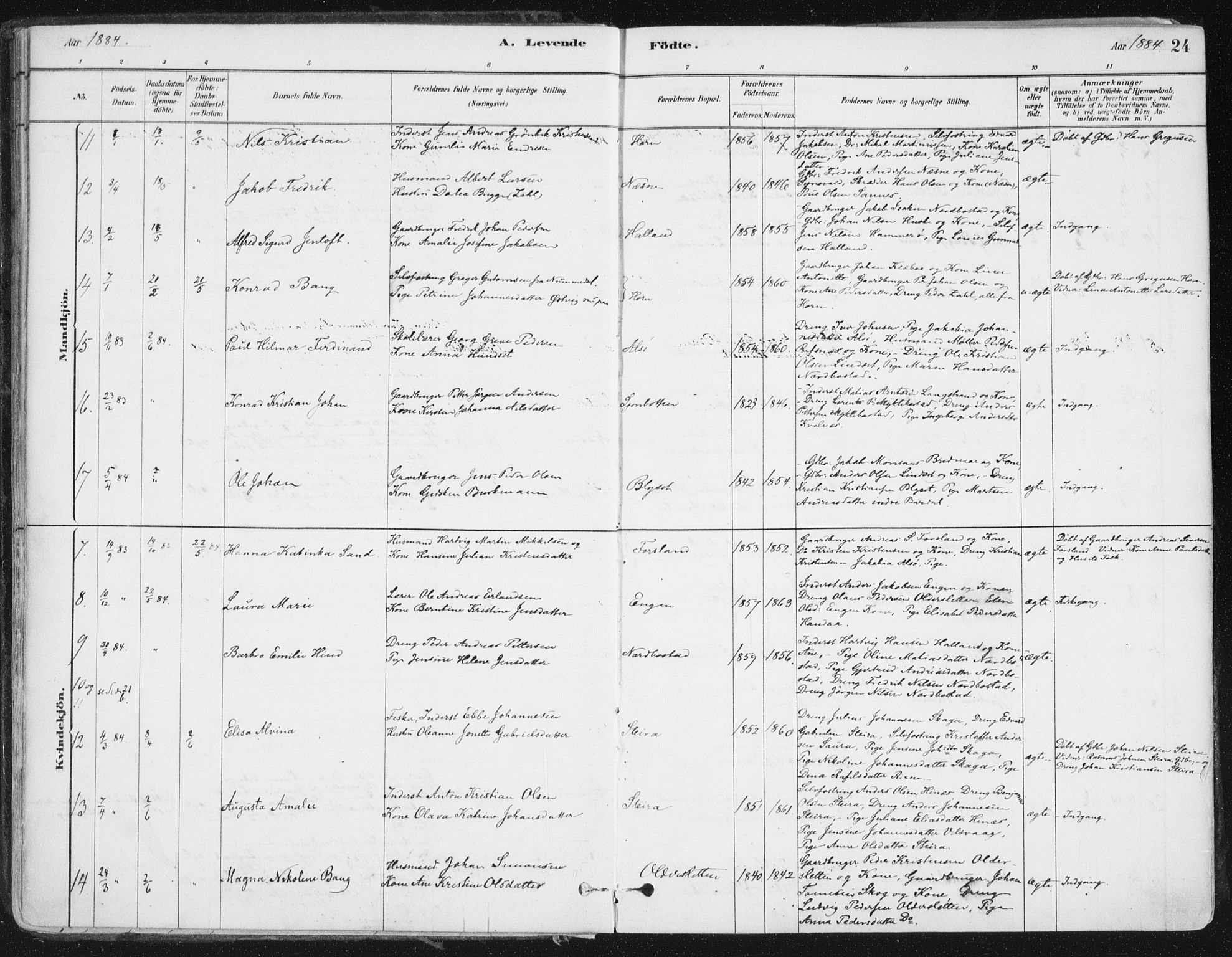 Ministerialprotokoller, klokkerbøker og fødselsregistre - Nordland, AV/SAT-A-1459/838/L0552: Parish register (official) no. 838A10, 1880-1910, p. 24