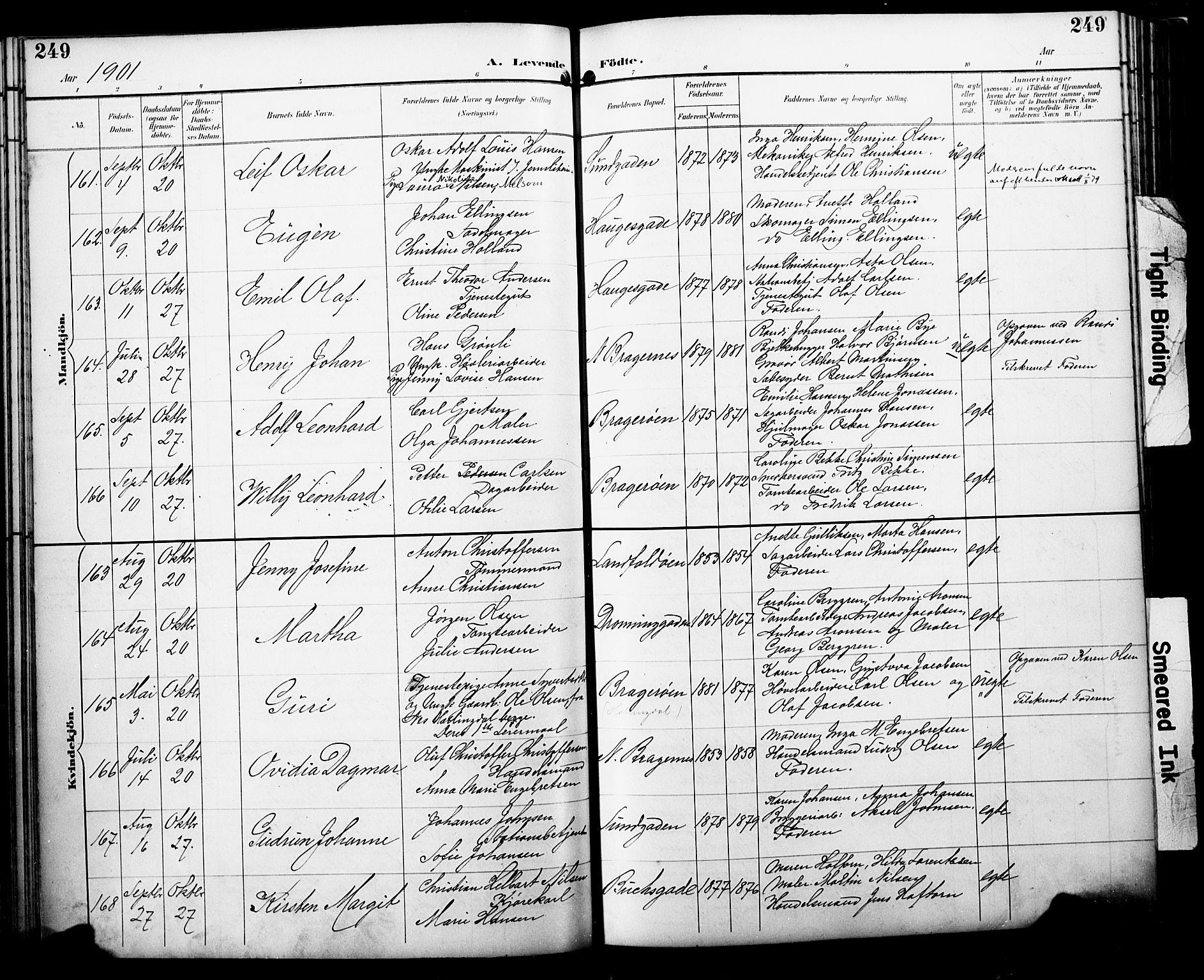 Bragernes kirkebøker, AV/SAKO-A-6/F/Fb/L0008: Parish register (official) no. II 8, 1894-1902, p. 249