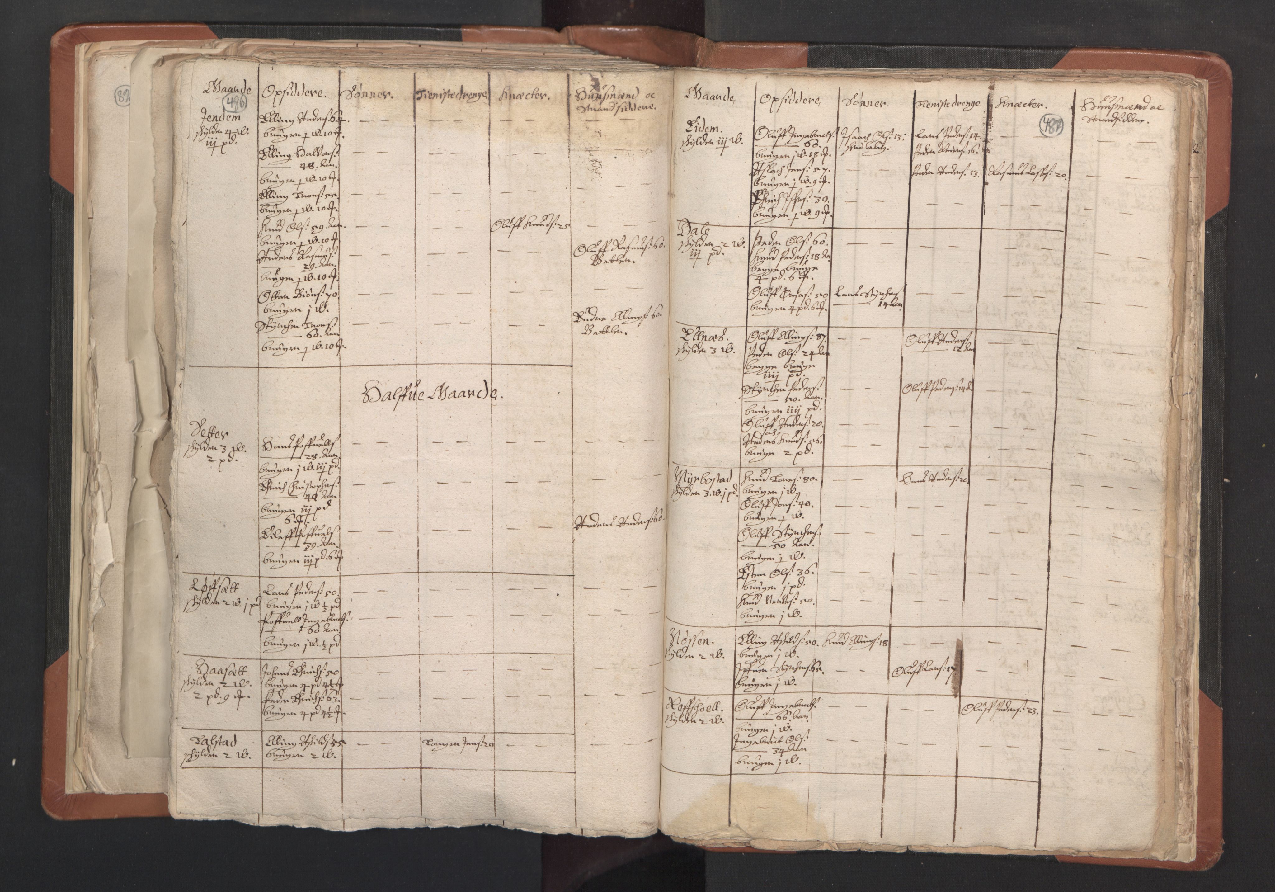 RA, Vicar's Census 1664-1666, no. 27: Romsdal deanery, 1664-1666, p. 486-487