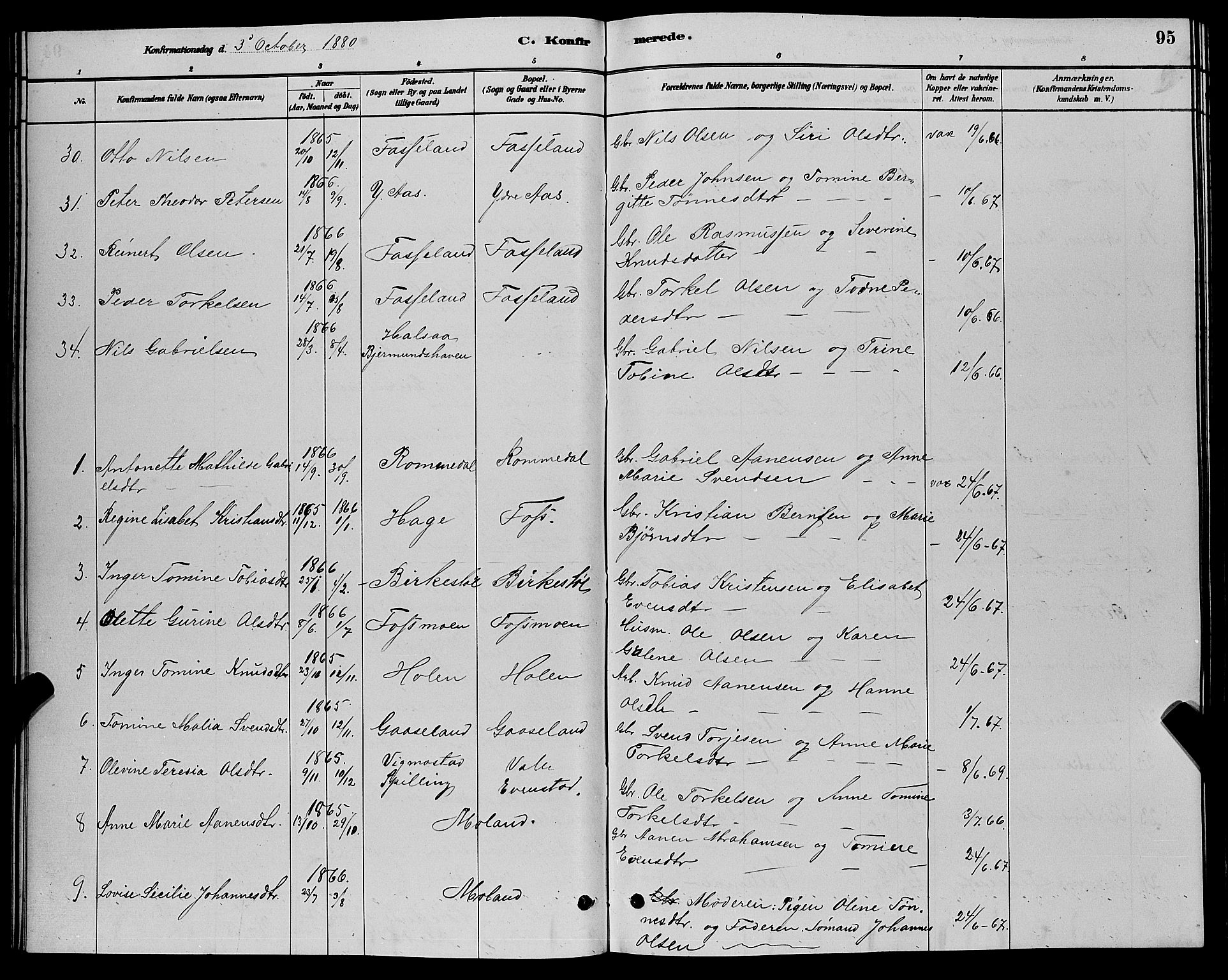 Sør-Audnedal sokneprestkontor, AV/SAK-1111-0039/F/Fb/Fbb/L0005: Parish register (copy) no. B 5, 1880-1892, p. 95