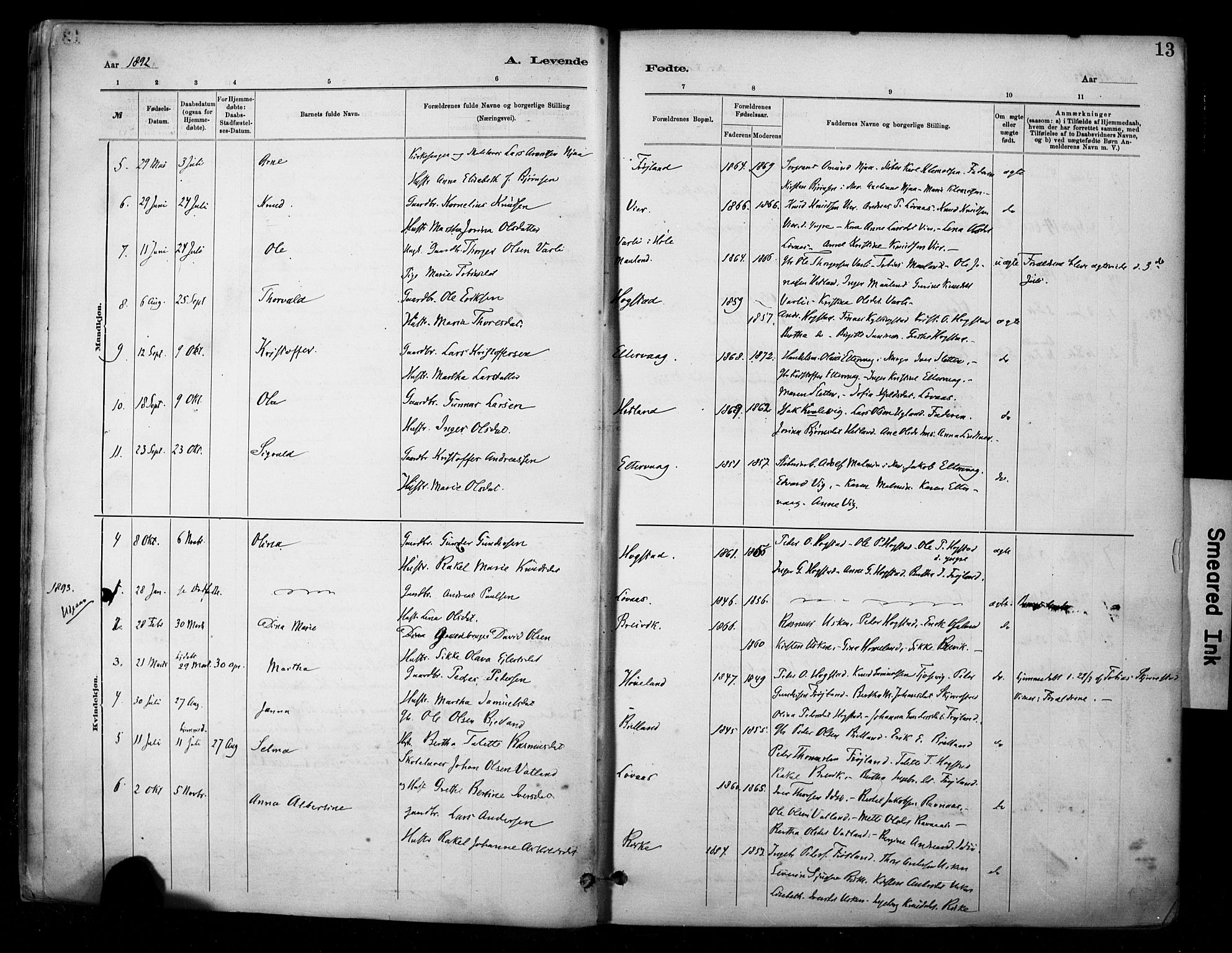 Hetland sokneprestkontor, AV/SAST-A-101826/30/30BA/L0010: Parish register (official) no. A 10, 1882-1925, p. 13