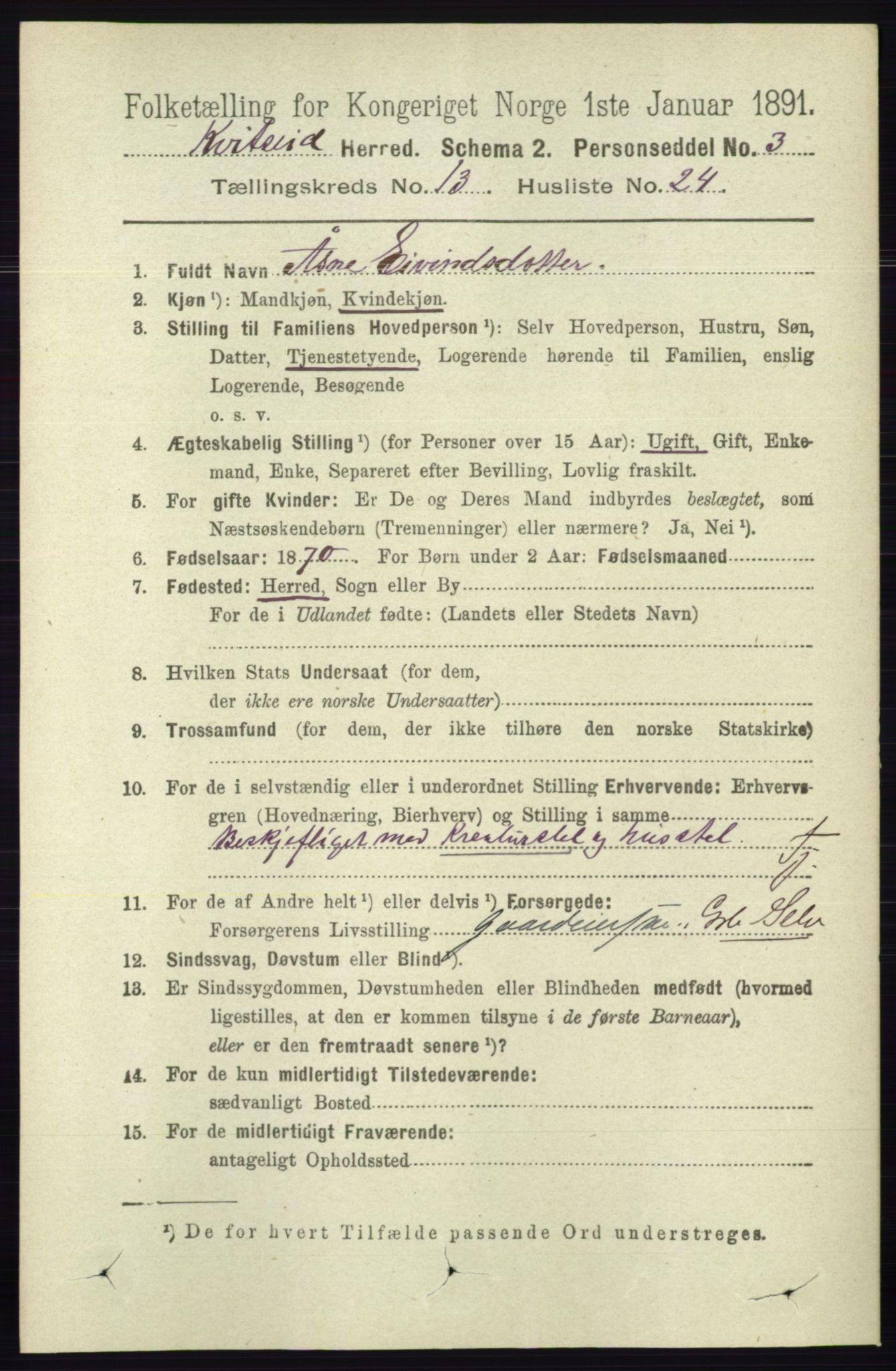 RA, 1891 census for 0829 Kviteseid, 1891, p. 3212