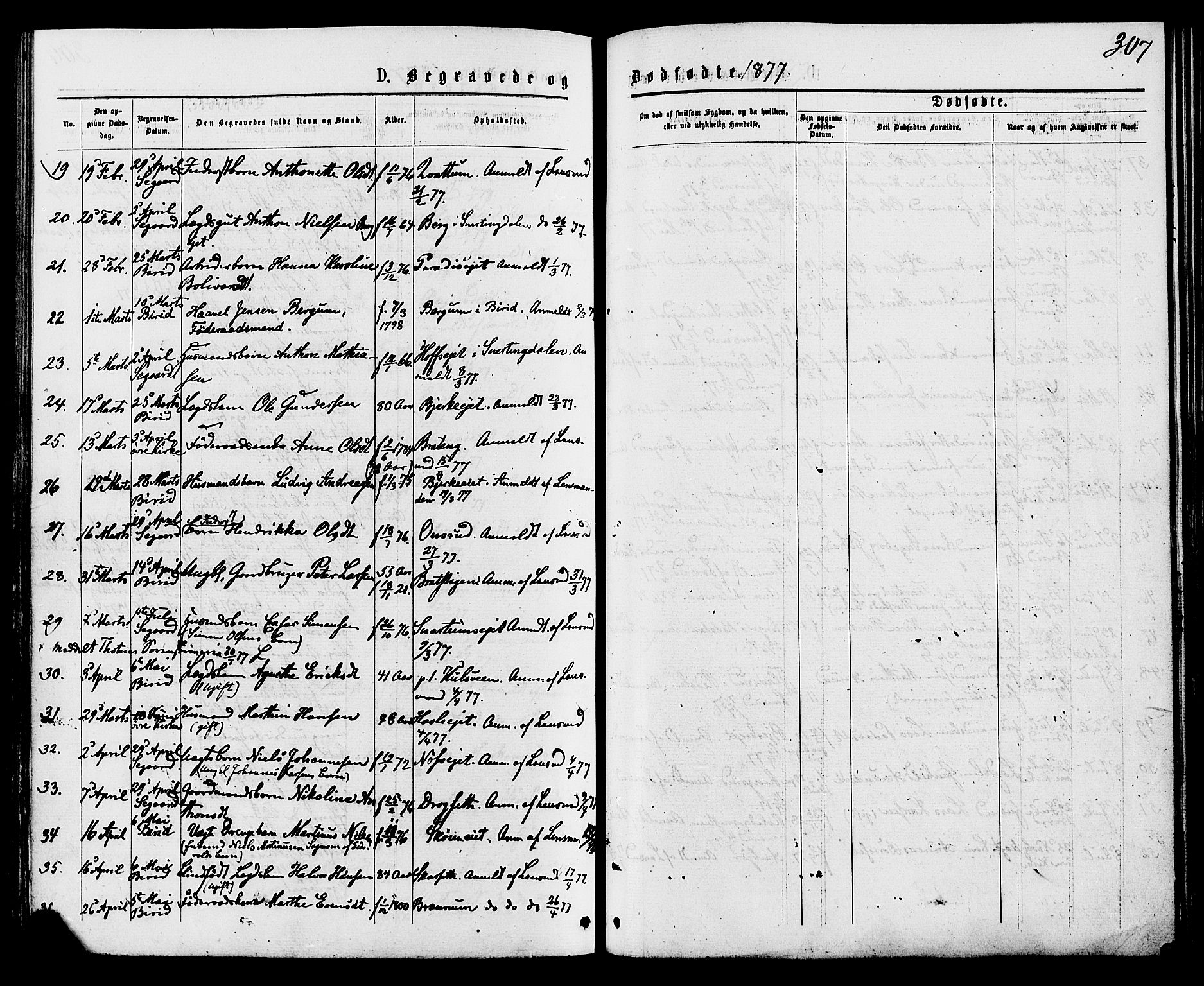 Biri prestekontor, SAH/PREST-096/H/Ha/Haa/L0006: Parish register (official) no. 6, 1877-1886, p. 307