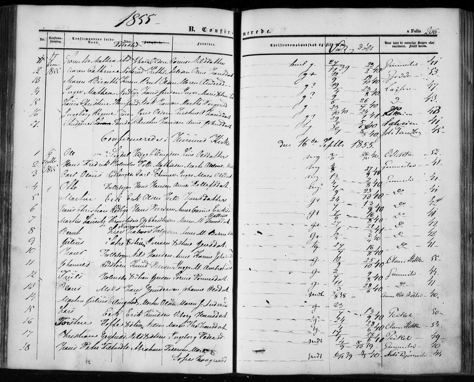 Hurum kirkebøker, SAKO/A-229/F/Fa/L0011: Parish register (official) no. 11, 1847-1860, p. 206