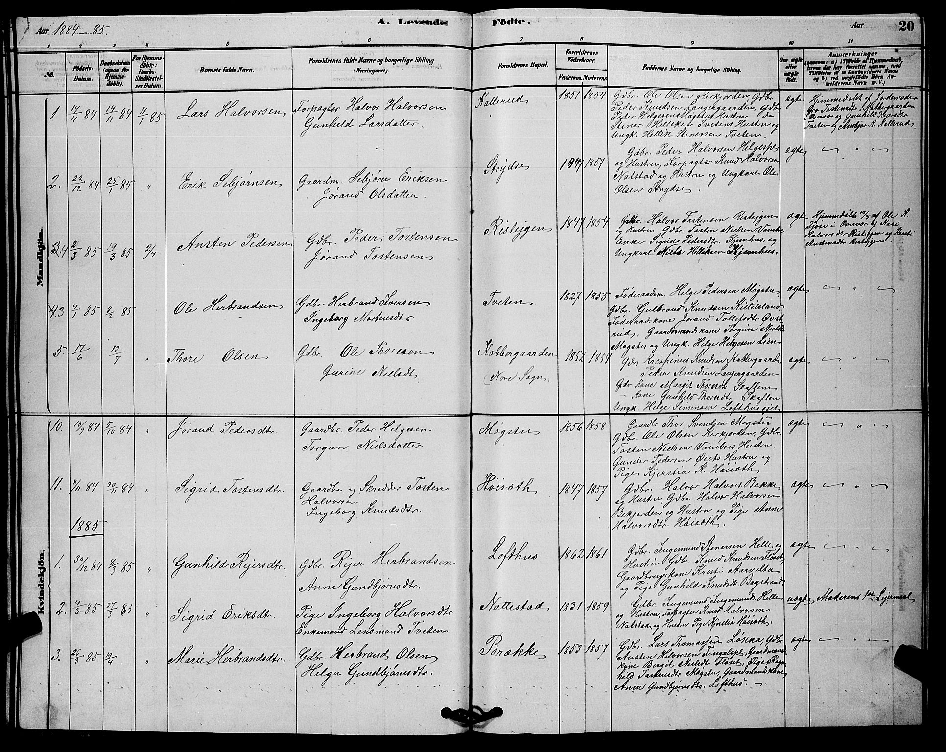 Rollag kirkebøker, SAKO/A-240/G/Gb/L0002: Parish register (copy) no. II 2, 1878-1898, p. 20
