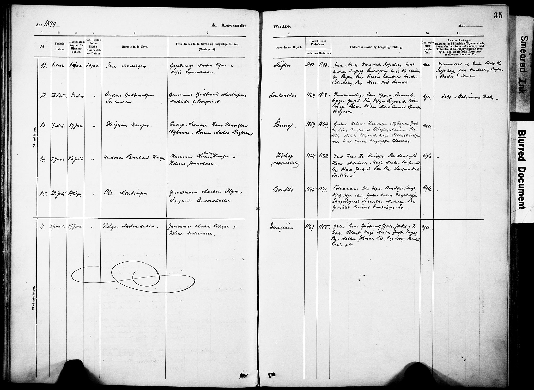 Nordre Land prestekontor, AV/SAH-PREST-124/H/Ha/Haa/L0005: Parish register (official) no. 5, 1882-1903, p. 35