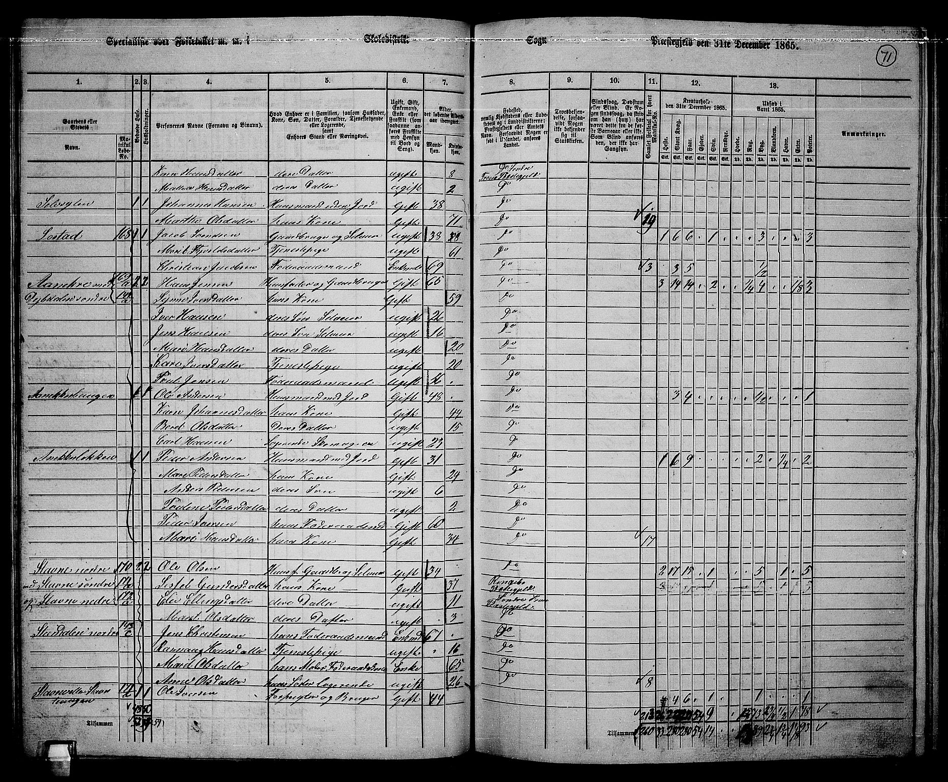 RA, 1865 census for Sør-Fron, 1865, p. 58