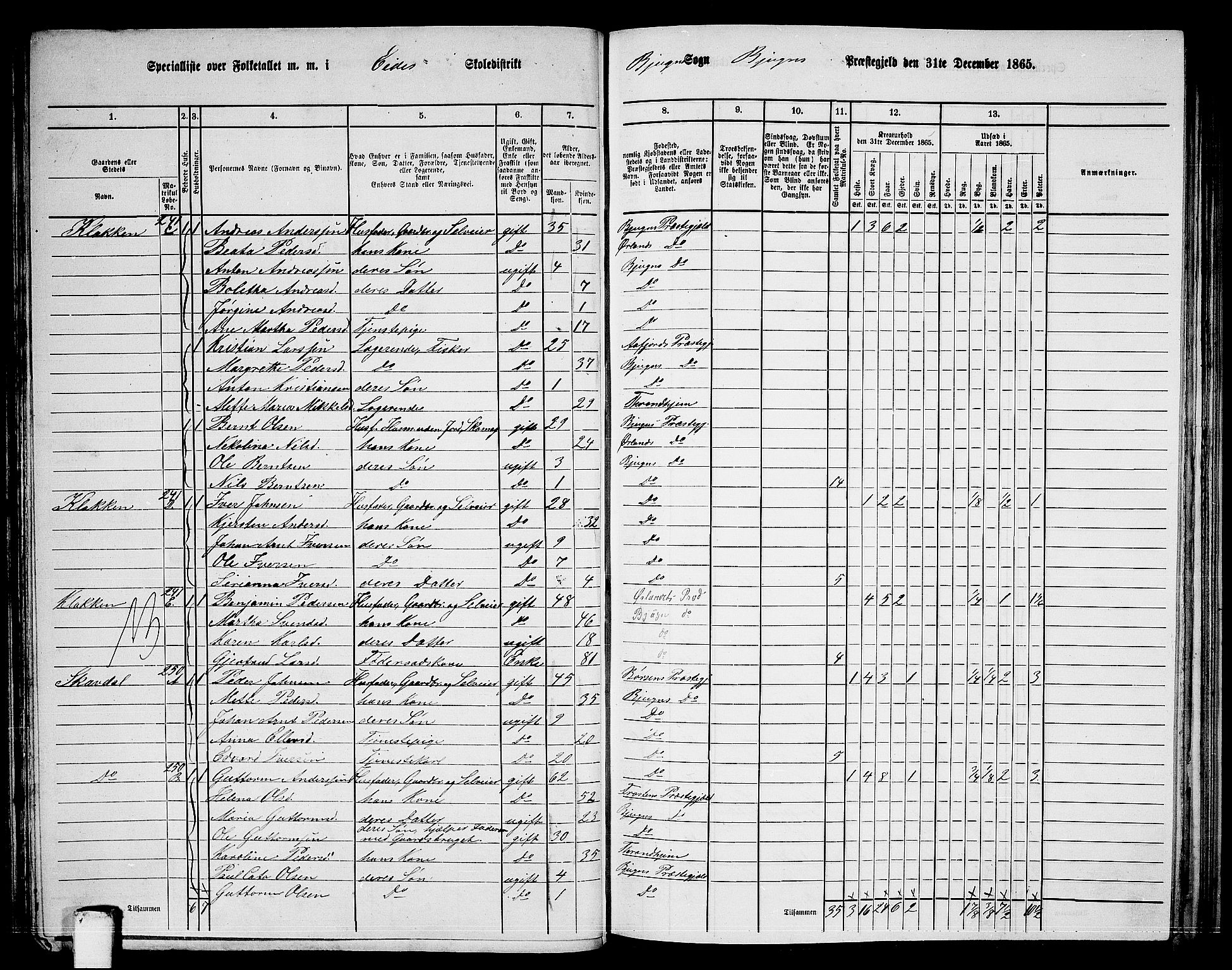 RA, 1865 census for Bjugn, 1865, p. 80