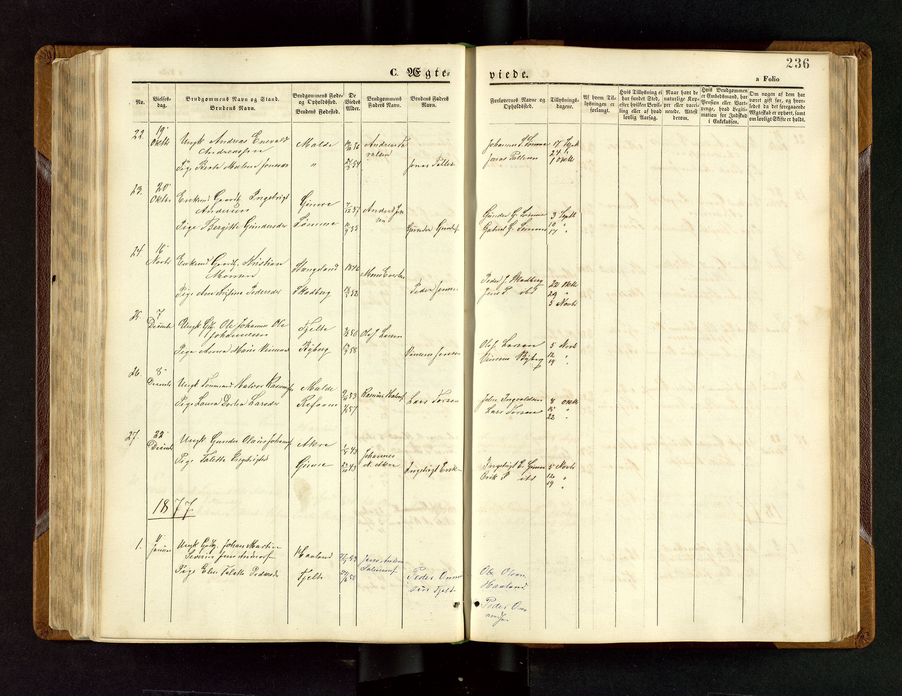 Håland sokneprestkontor, SAST/A-101802/001/30BB/L0003: Parish register (copy) no. B 3, 1873-1893, p. 236