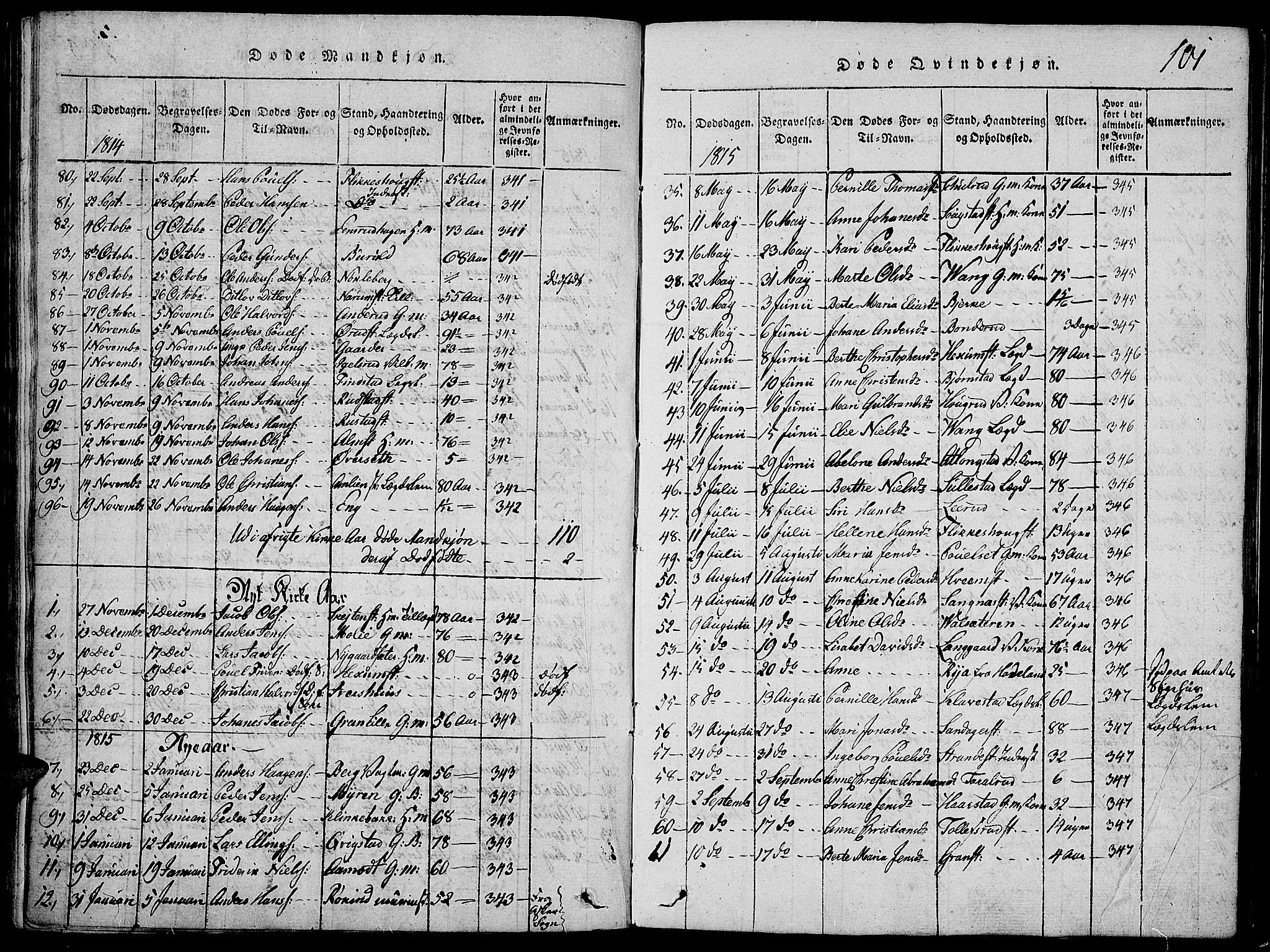 Toten prestekontor, SAH/PREST-102/H/Ha/Haa/L0009: Parish register (official) no. 9, 1814-1820, p. 101
