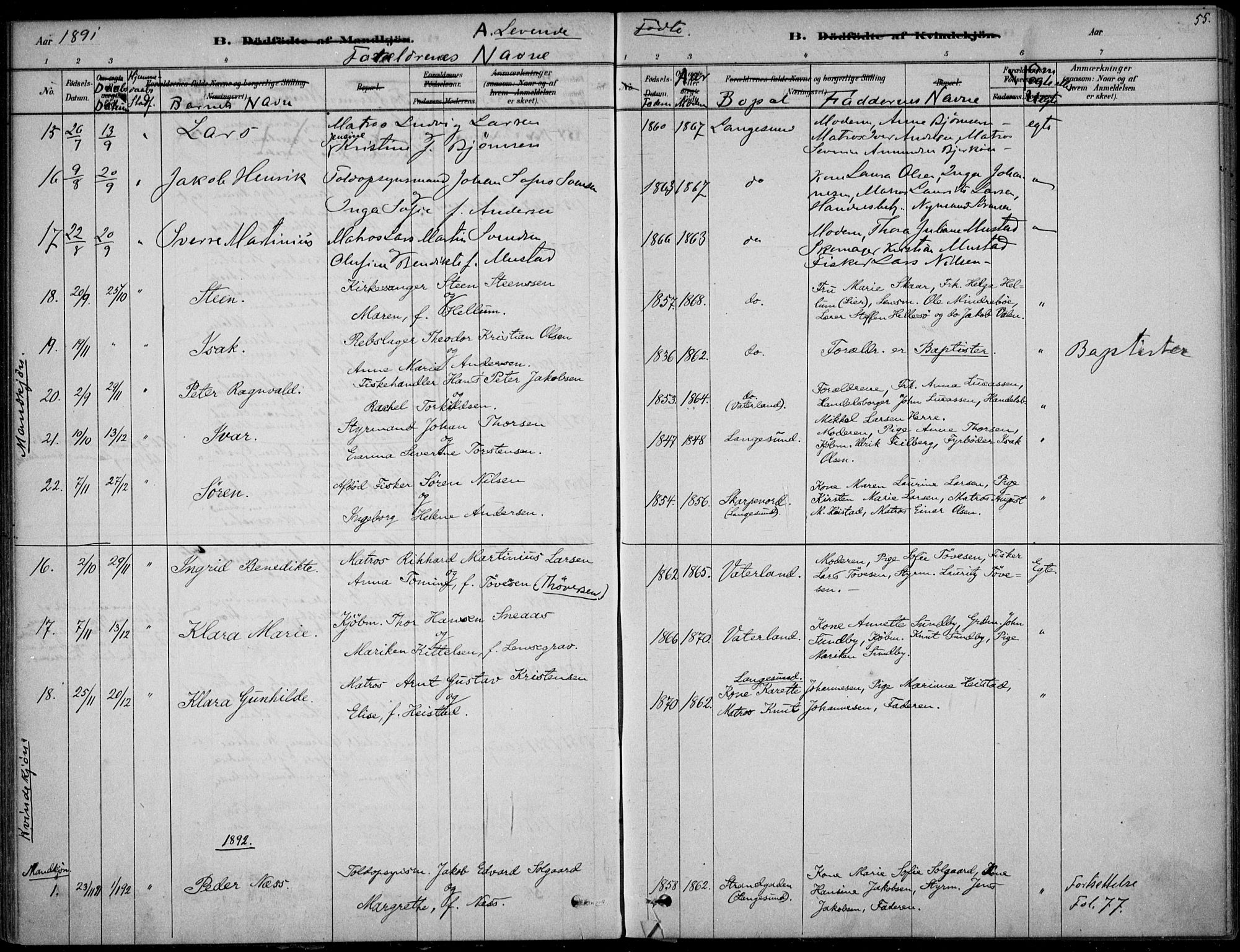 Langesund kirkebøker, SAKO/A-280/F/Fa/L0002: Parish register (official) no. 2, 1878-1892, p. 55