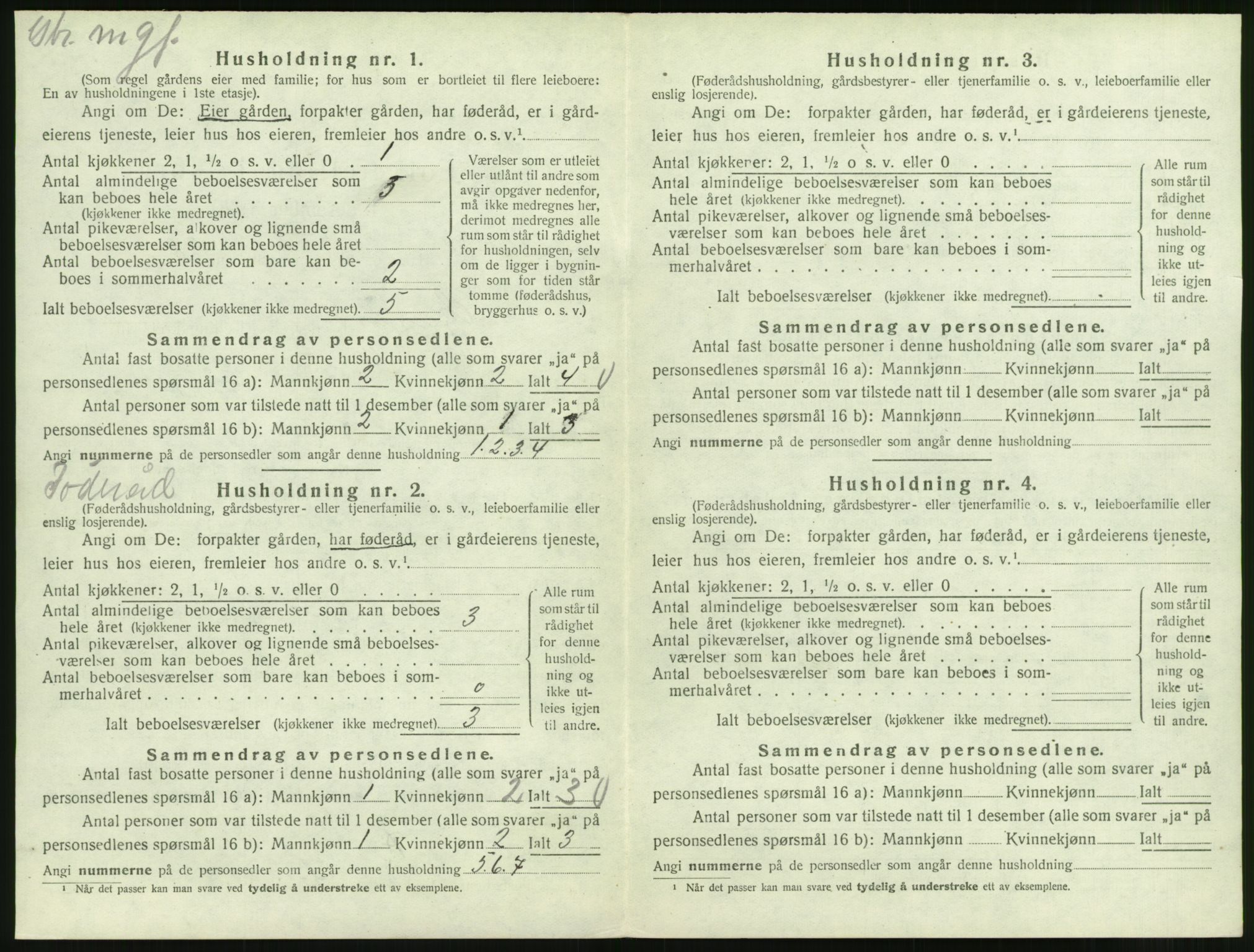 SAT, 1920 census for Gjemnes, 1920, p. 313