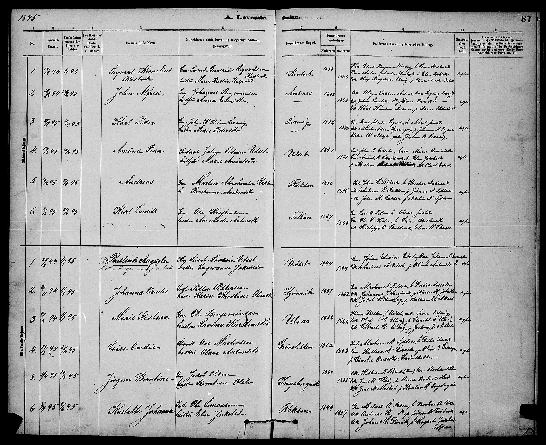 Ministerialprotokoller, klokkerbøker og fødselsregistre - Sør-Trøndelag, SAT/A-1456/637/L0562: Parish register (copy) no. 637C03, 1883-1898, p. 87