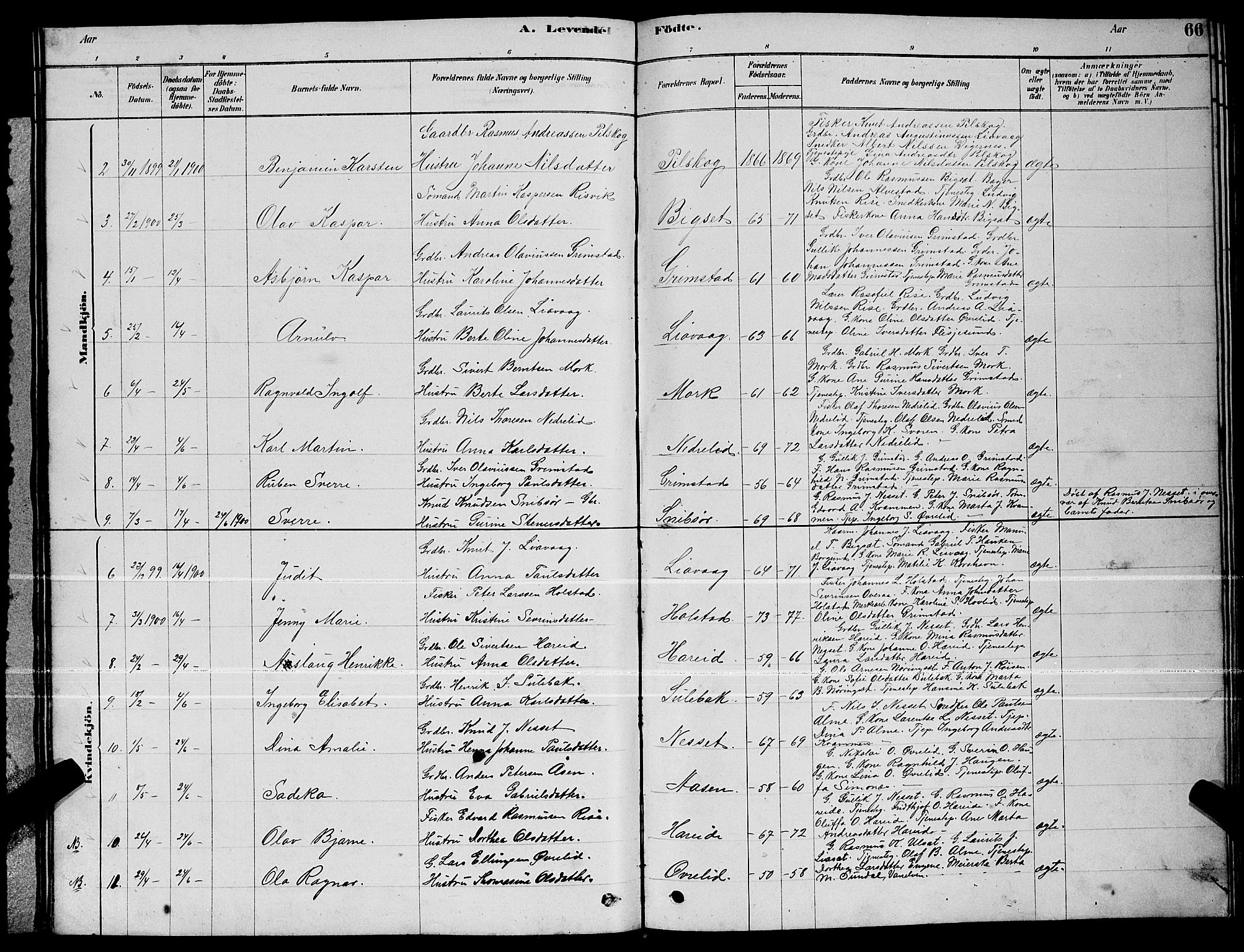 Ministerialprotokoller, klokkerbøker og fødselsregistre - Møre og Romsdal, AV/SAT-A-1454/510/L0125: Parish register (copy) no. 510C02, 1878-1900, p. 66