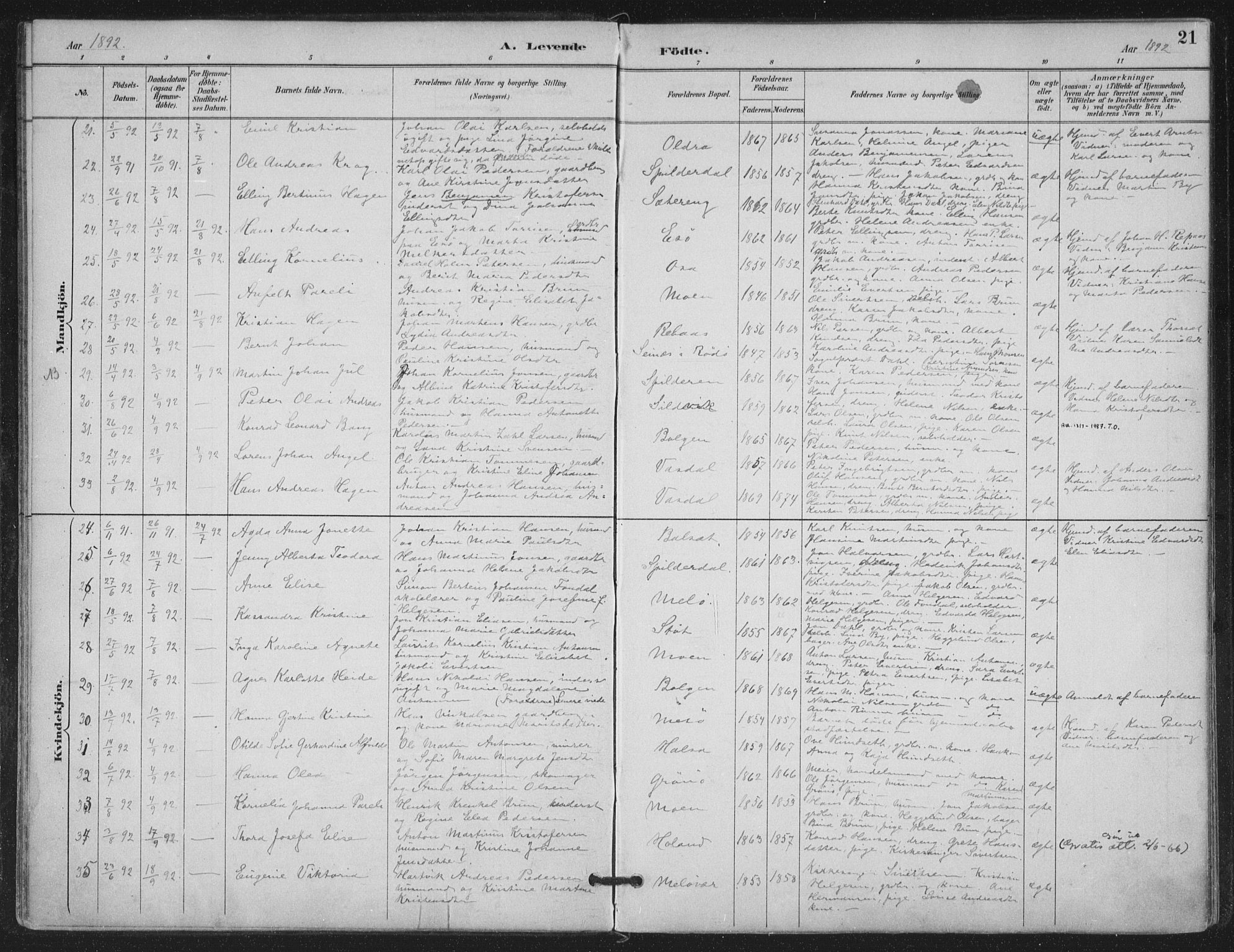 Ministerialprotokoller, klokkerbøker og fødselsregistre - Nordland, SAT/A-1459/843/L0628: Parish register (official) no. 843A03, 1889-1907, p. 21