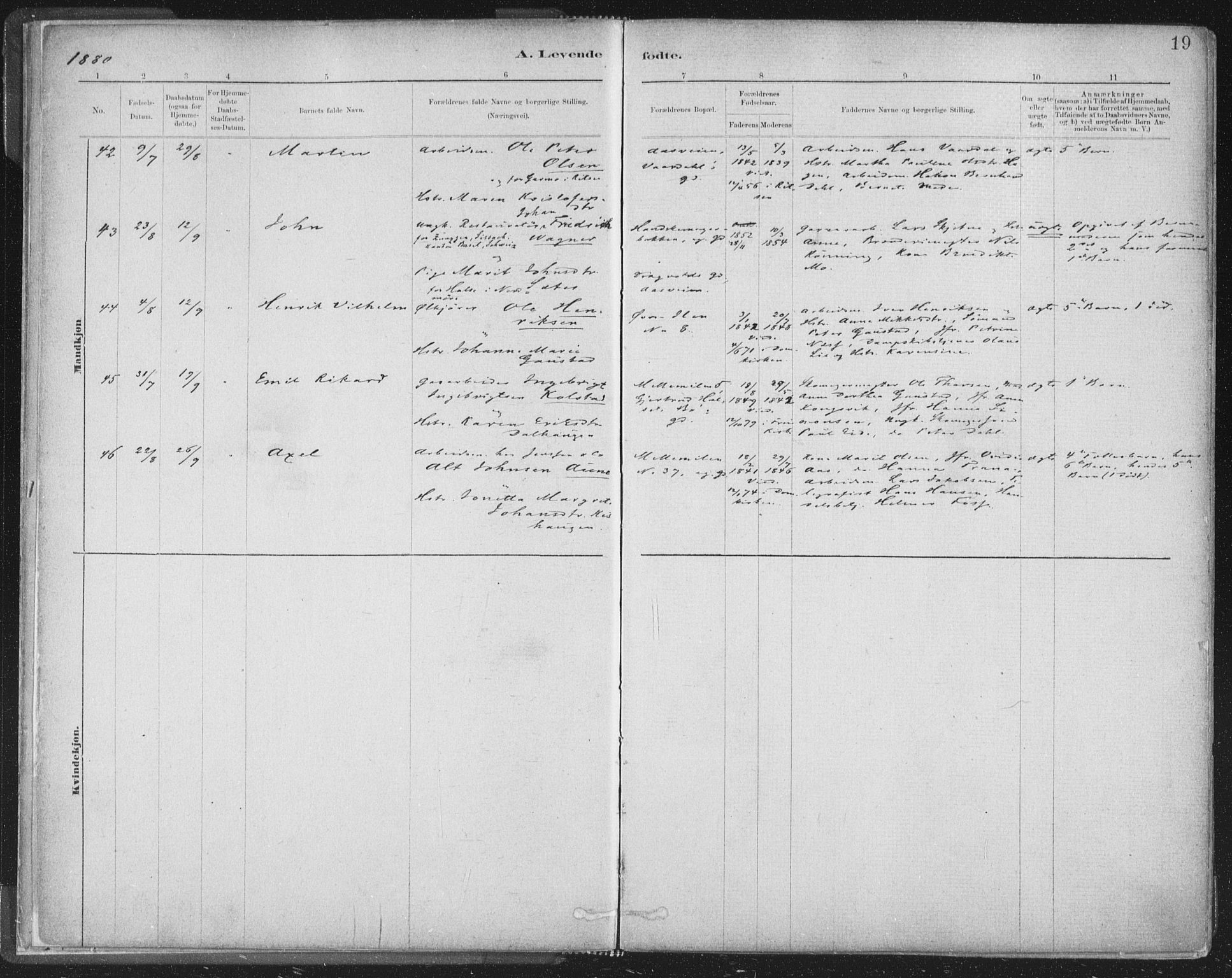 Ministerialprotokoller, klokkerbøker og fødselsregistre - Sør-Trøndelag, AV/SAT-A-1456/603/L0162: Parish register (official) no. 603A01, 1879-1895, p. 19