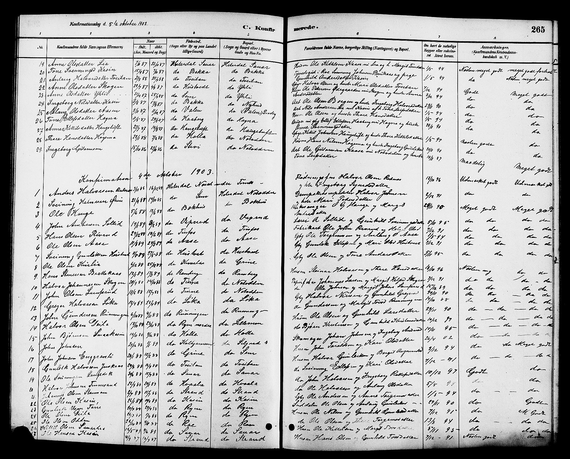 Heddal kirkebøker, SAKO/A-268/G/Ga/L0002: Parish register (copy) no. I 2, 1879-1908, p. 265