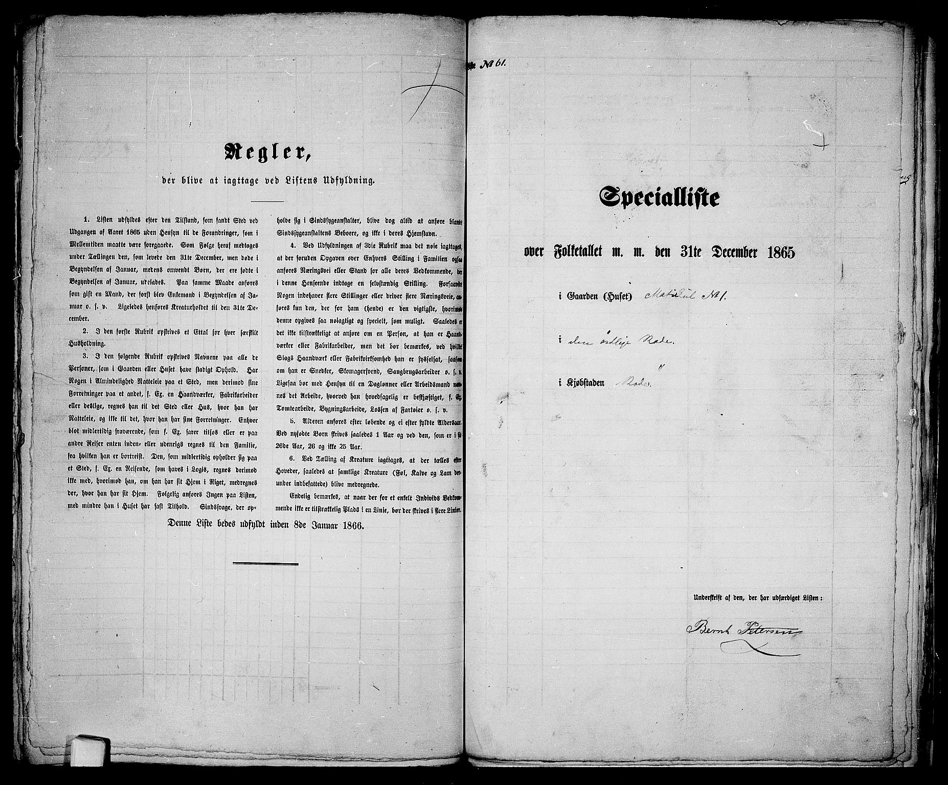 RA, 1865 census for Bodø/Bodø, 1865, p. 115