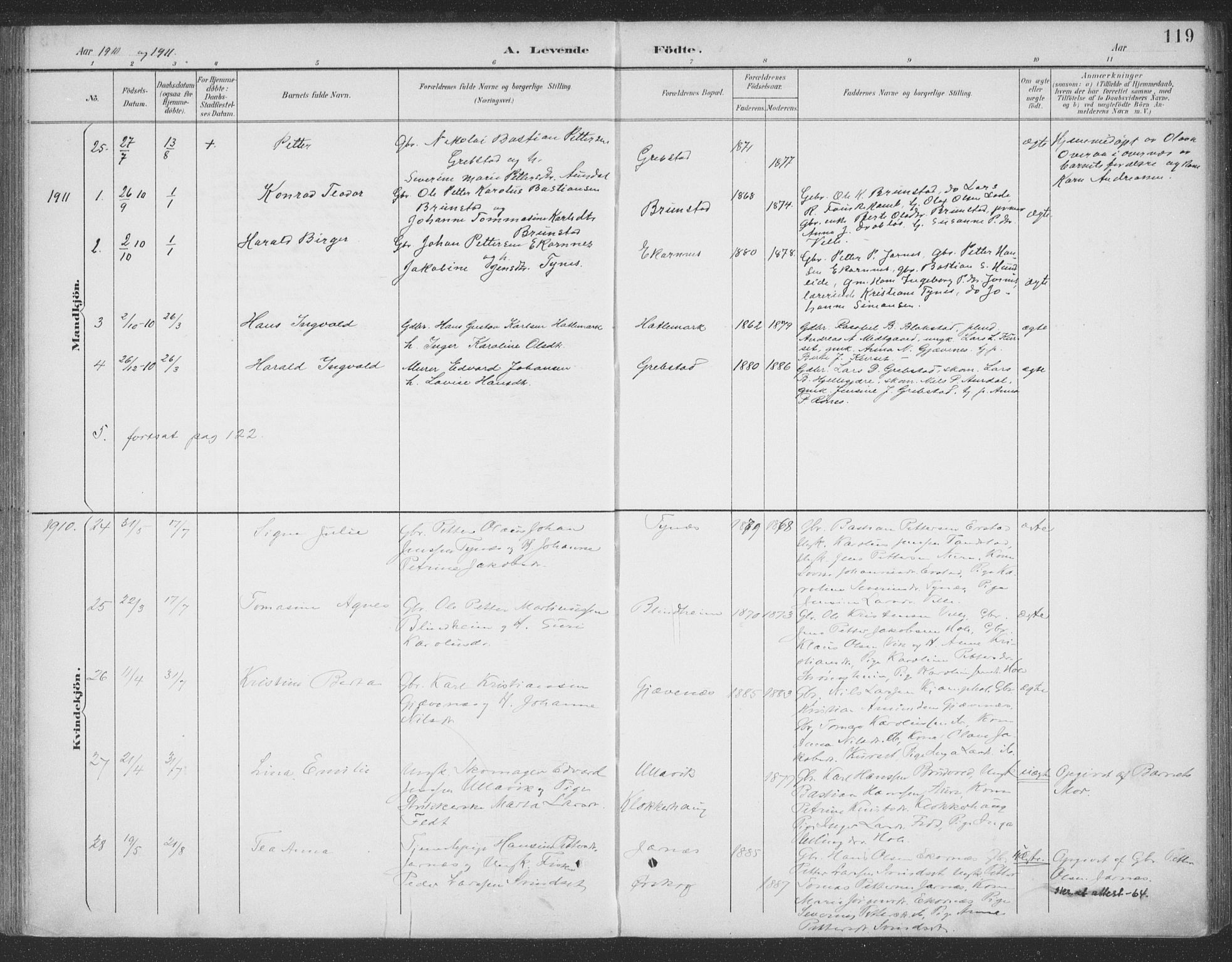 Ministerialprotokoller, klokkerbøker og fødselsregistre - Møre og Romsdal, SAT/A-1454/523/L0335: Parish register (official) no. 523A02, 1891-1911, p. 119