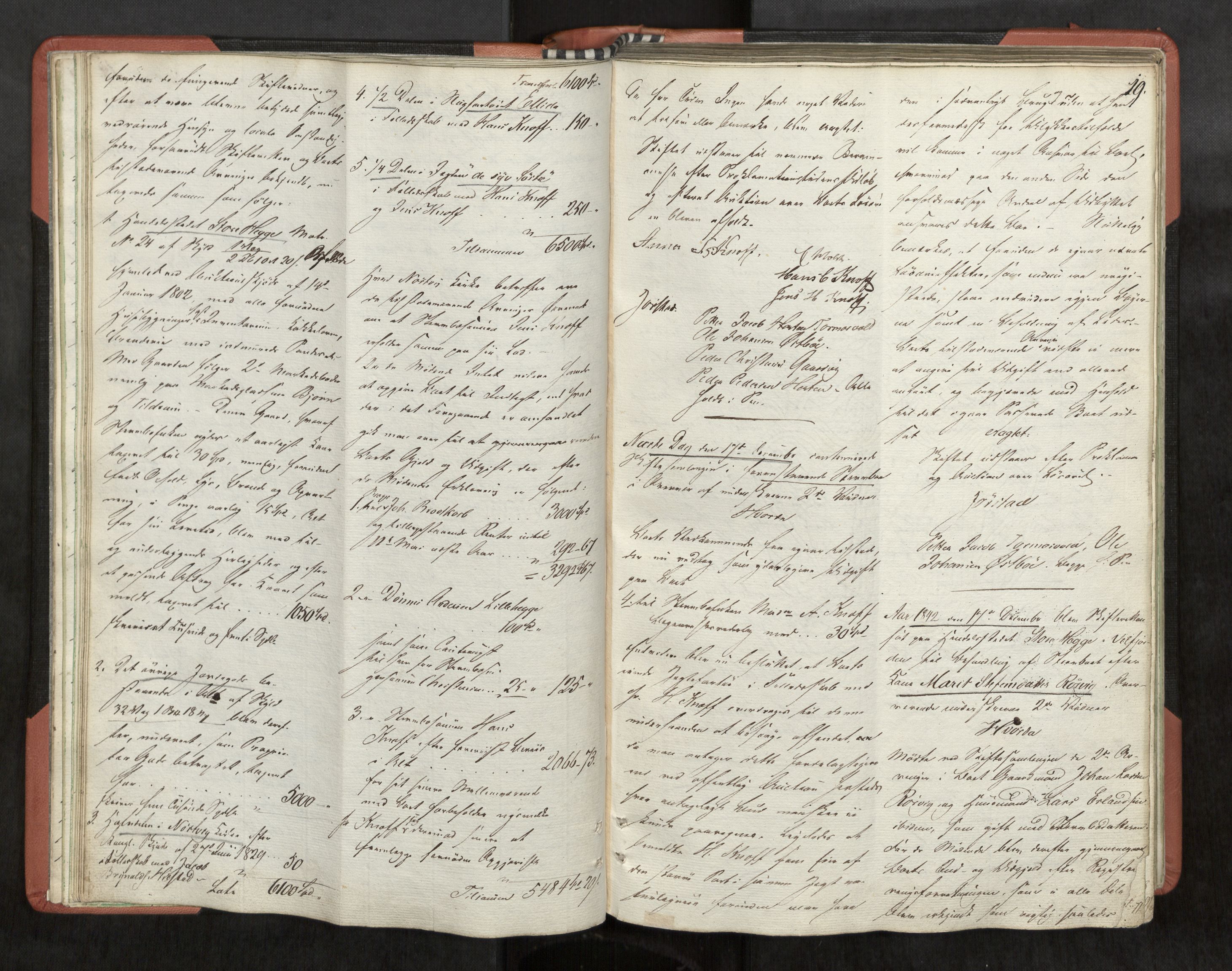 Helgeland sorenskriveri, AV/SAT-A-0004/3/3A/L0100: Skifteprotokoll 45, 1841-1844, p. 19