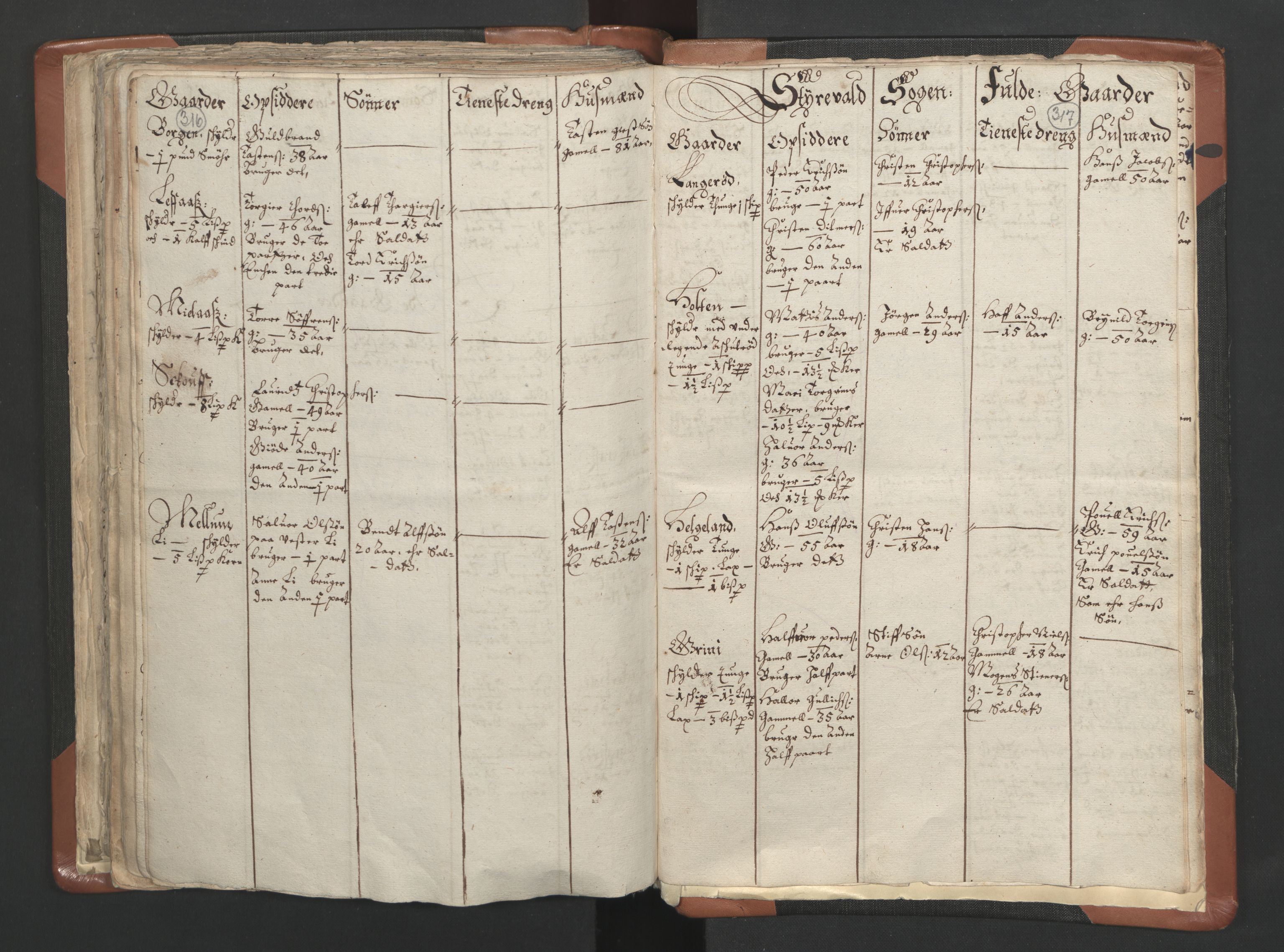 RA, Vicar's Census 1664-1666, no. 10: Tønsberg deanery, 1664-1666, p. 316-317