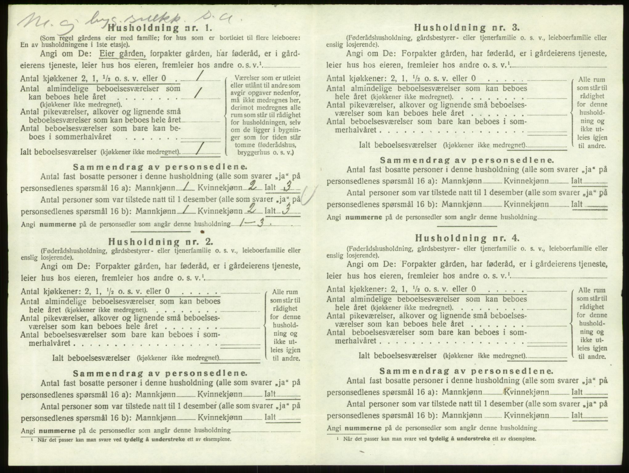 SAO, 1920 census for Skjeberg, 1920, p. 896