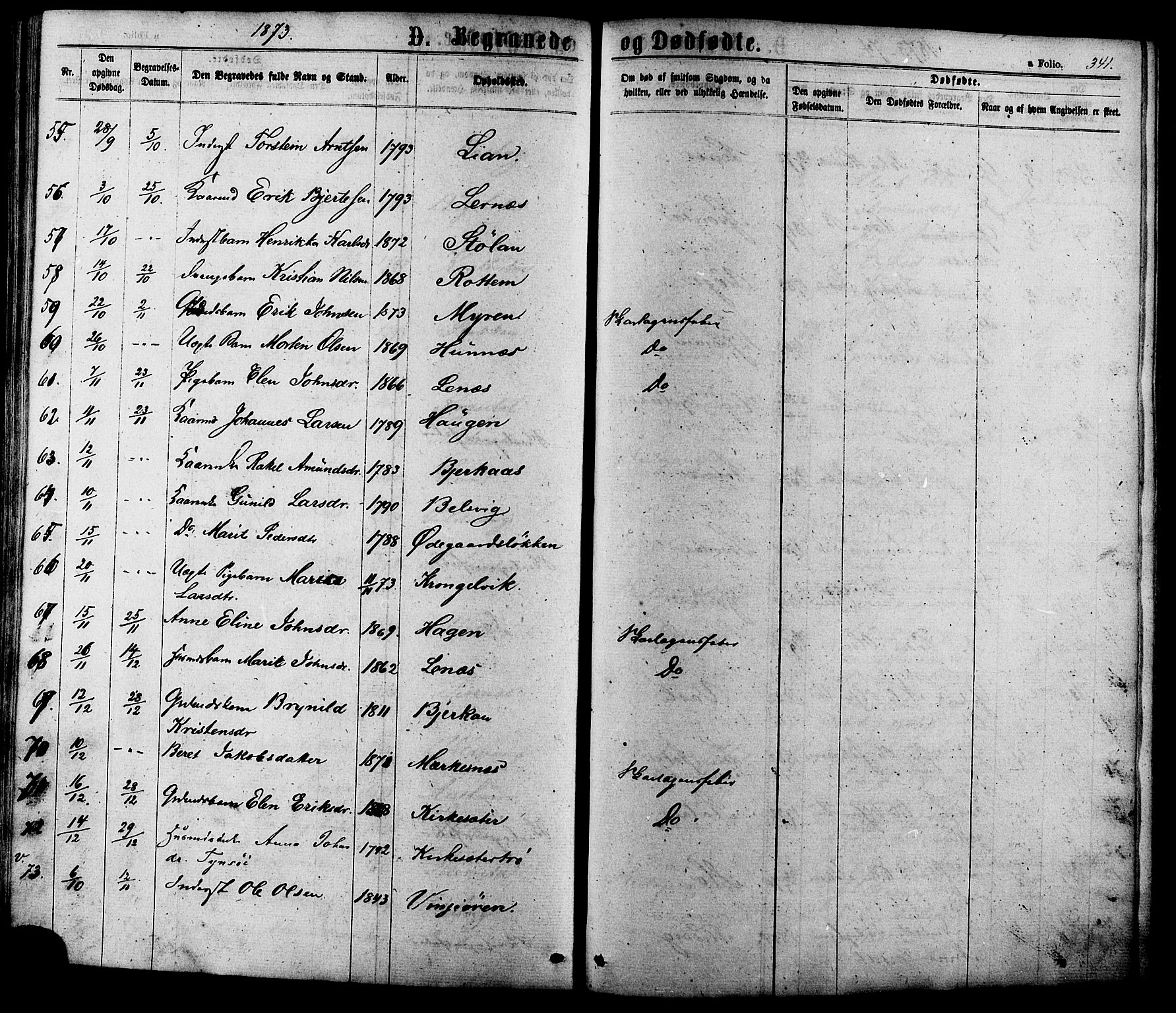 Ministerialprotokoller, klokkerbøker og fødselsregistre - Sør-Trøndelag, SAT/A-1456/630/L0495: Parish register (official) no. 630A08, 1868-1878, p. 341