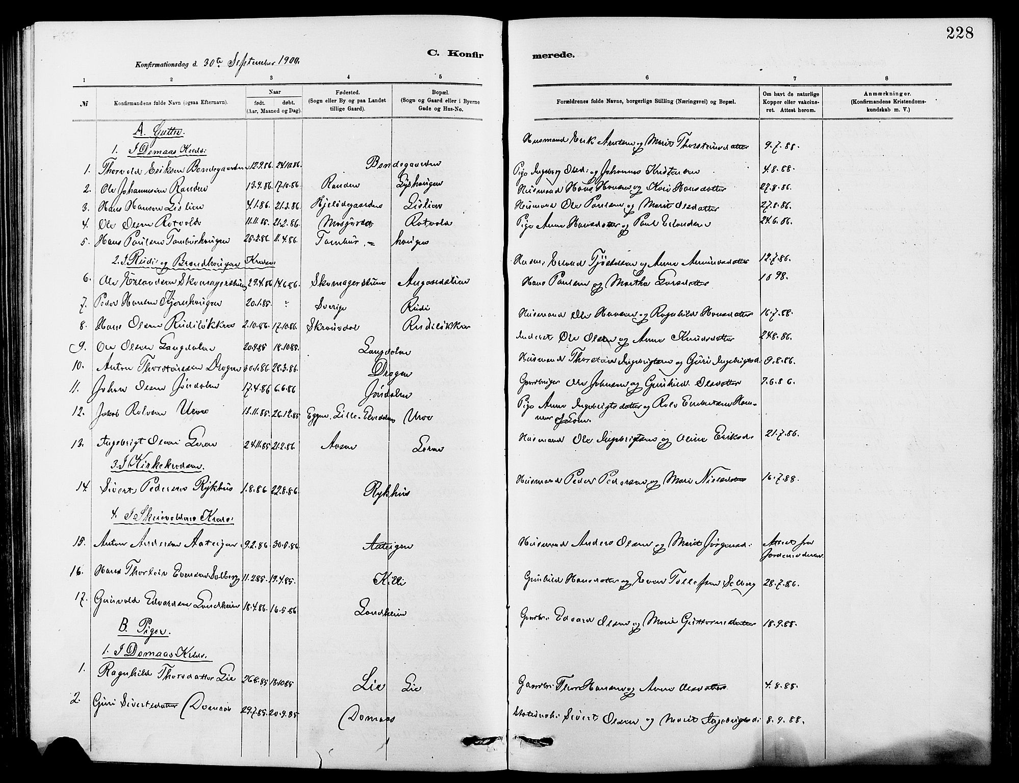 Dovre prestekontor, SAH/PREST-066/H/Ha/Hab/L0002: Parish register (copy) no. 2, 1881-1907, p. 228