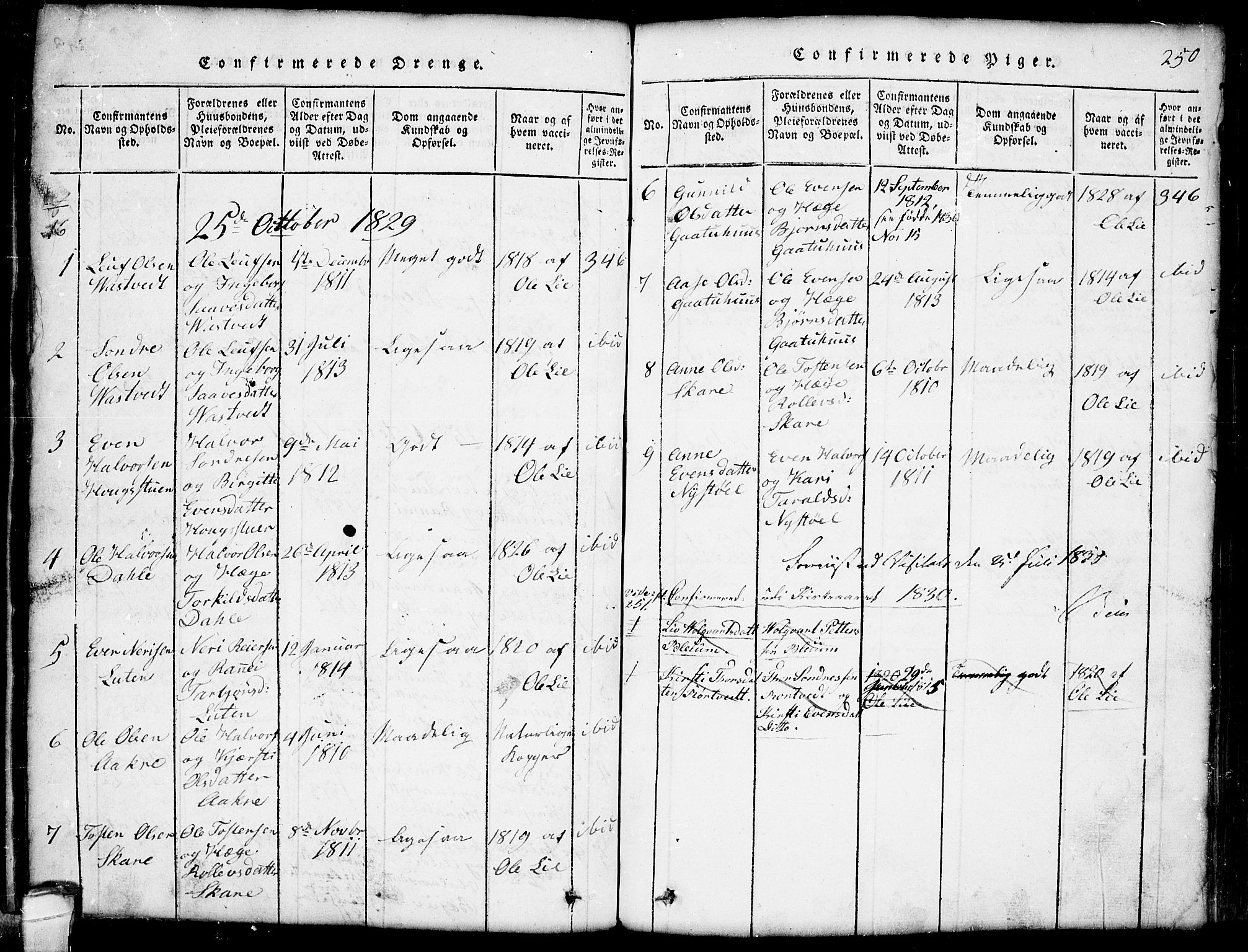 Seljord kirkebøker, SAKO/A-20/G/Gb/L0002: Parish register (copy) no. II 2, 1815-1854, p. 250