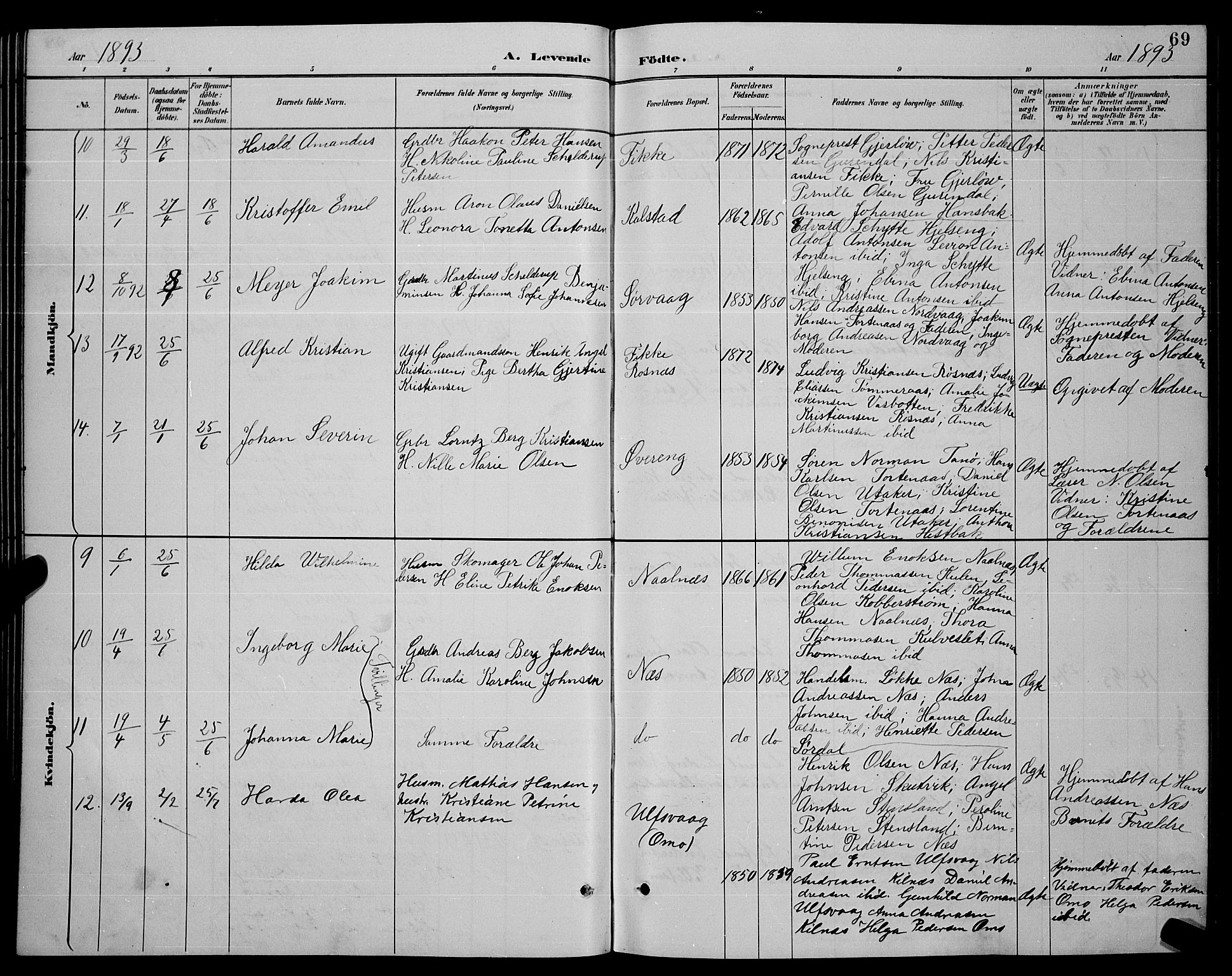 Ministerialprotokoller, klokkerbøker og fødselsregistre - Nordland, AV/SAT-A-1459/859/L0859: Parish register (copy) no. 859C05, 1887-1898, p. 69