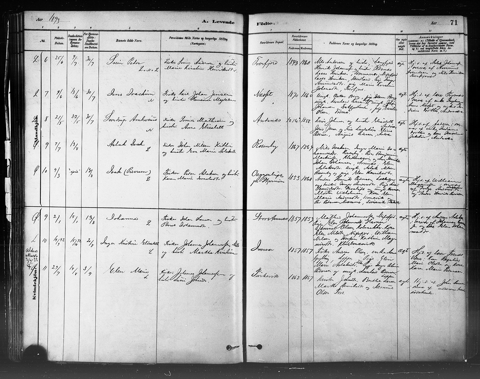 Loppa sokneprestkontor, SATØ/S-1339/H/Ha/L0006kirke: Parish register (official) no. 6, 1879-1895, p. 71