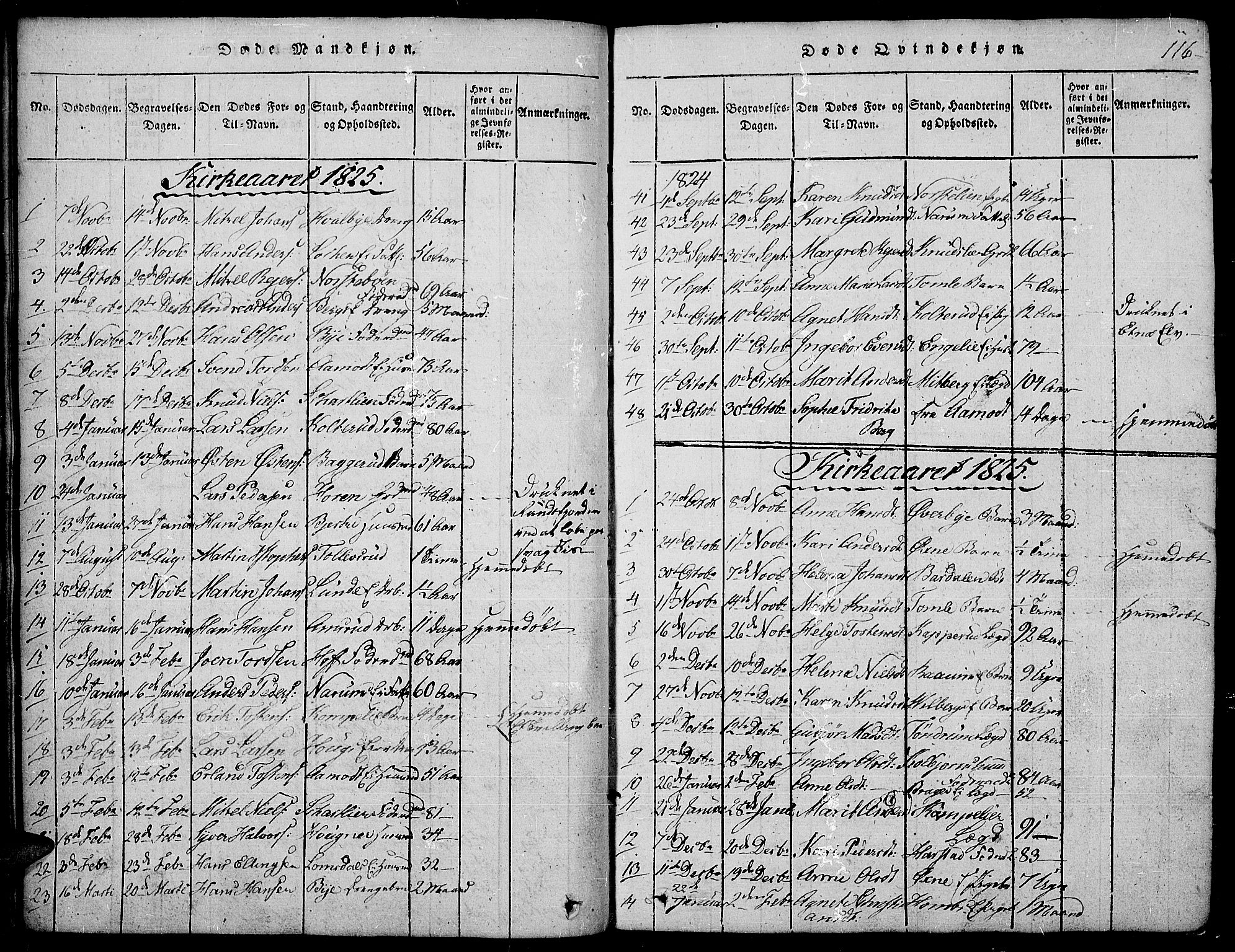 Land prestekontor, SAH/PREST-120/H/Ha/Hab/L0001: Parish register (copy) no. 1, 1814-1833, p. 116