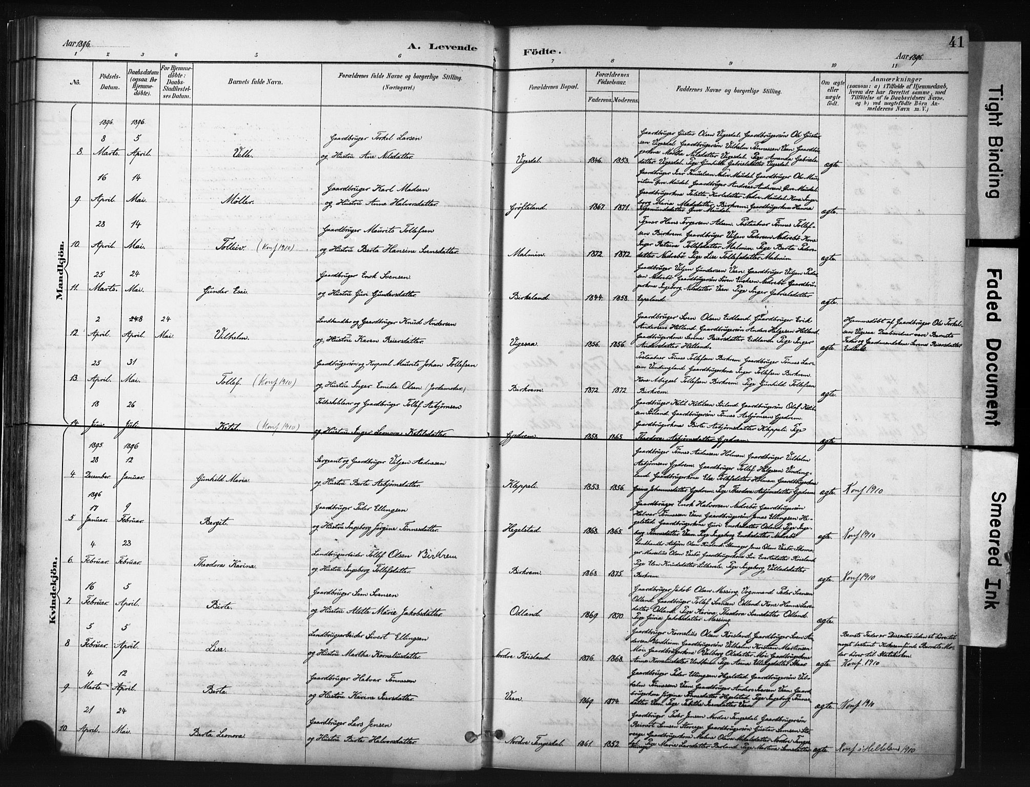 Helleland sokneprestkontor, AV/SAST-A-101810: Parish register (official) no. A 9, 1887-1908, p. 41