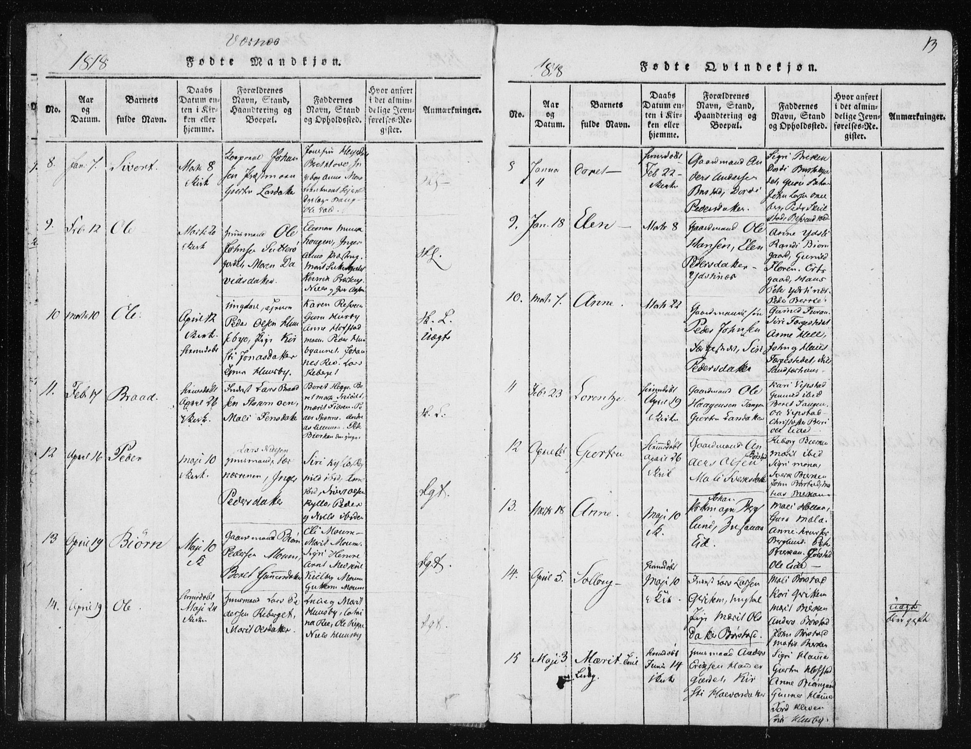 Ministerialprotokoller, klokkerbøker og fødselsregistre - Nord-Trøndelag, AV/SAT-A-1458/709/L0061: Parish register (official) no. 709A08 /1, 1815-1819, p. 13