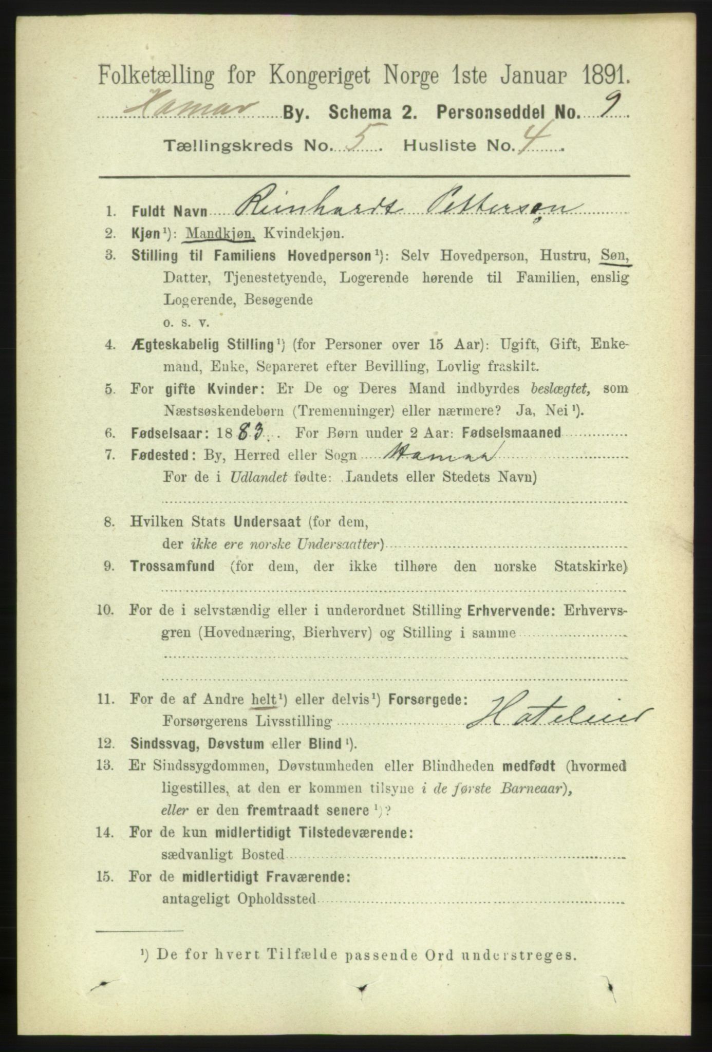 RA, 1891 census for 0401 Hamar, 1891, p. 3743