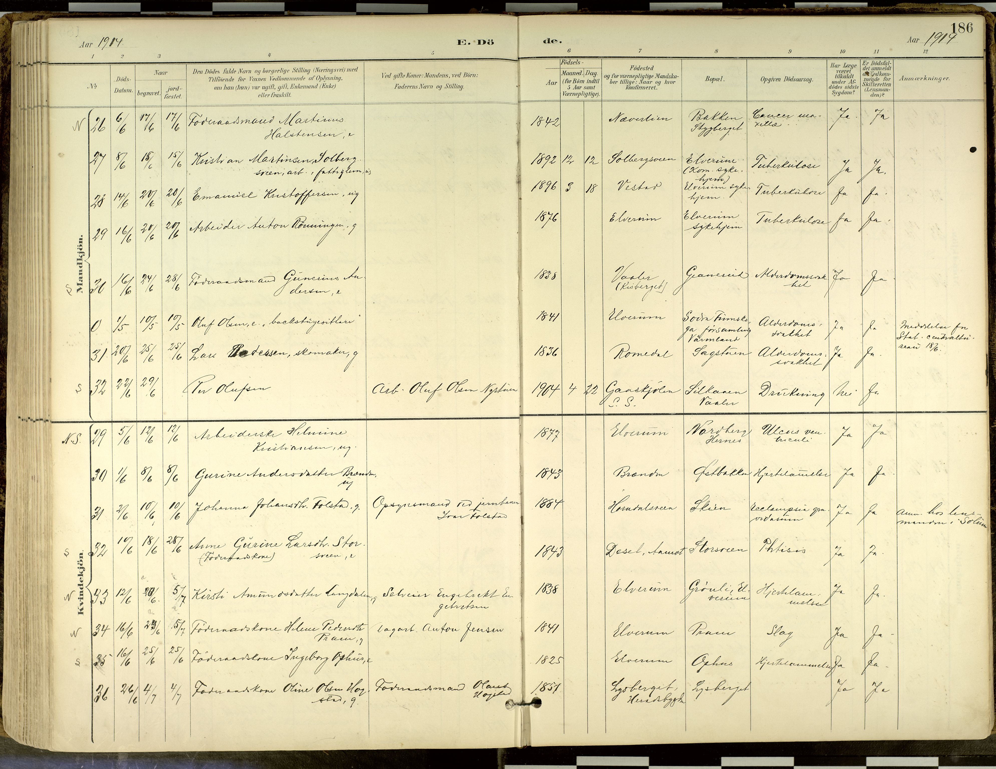 Elverum prestekontor, AV/SAH-PREST-044/H/Ha/Haa/L0018: Parish register (official) no. 18, 1894-1914, p. 186