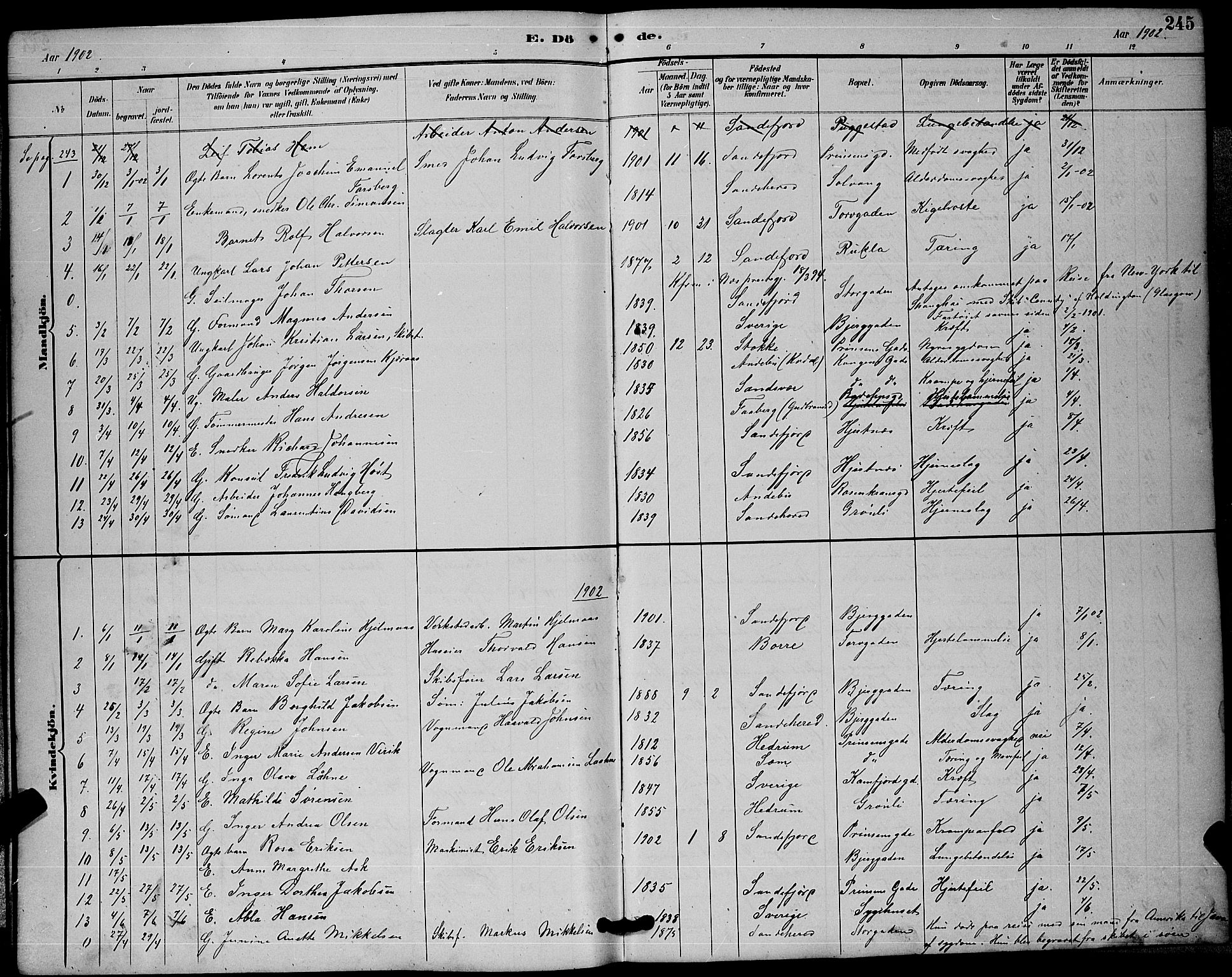 Sandefjord kirkebøker, AV/SAKO-A-315/G/Ga/L0001: Parish register (copy) no. 1, 1885-1903, p. 245