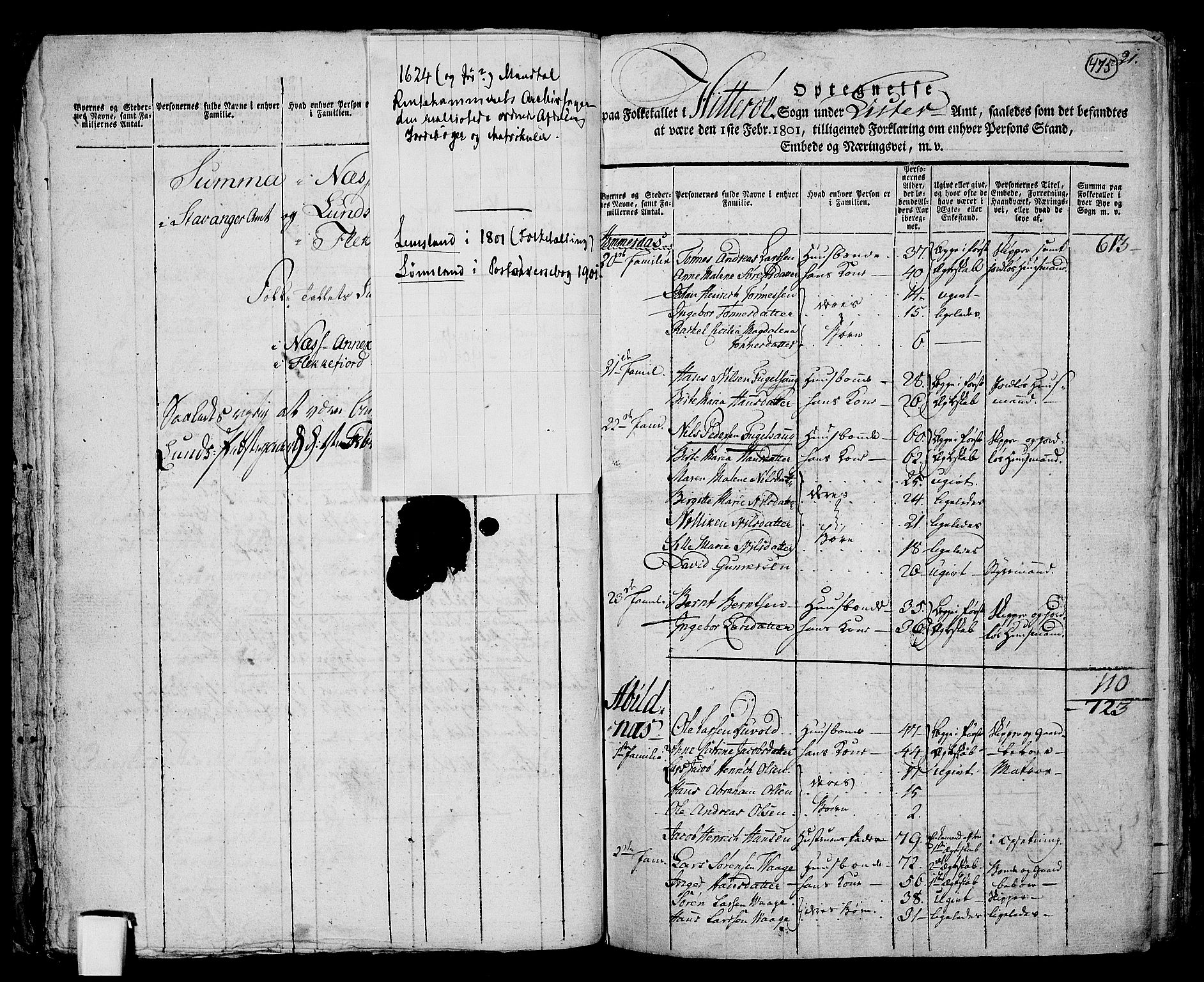 RA, 1801 census for 1111P Sokndal, 1801, p. 474b-475a